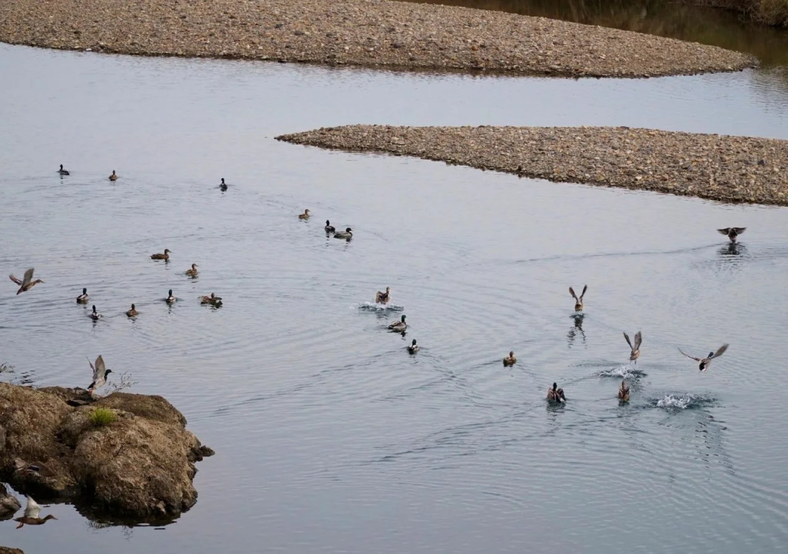 APA Hotel Miyazaki Nobeoka Chuo