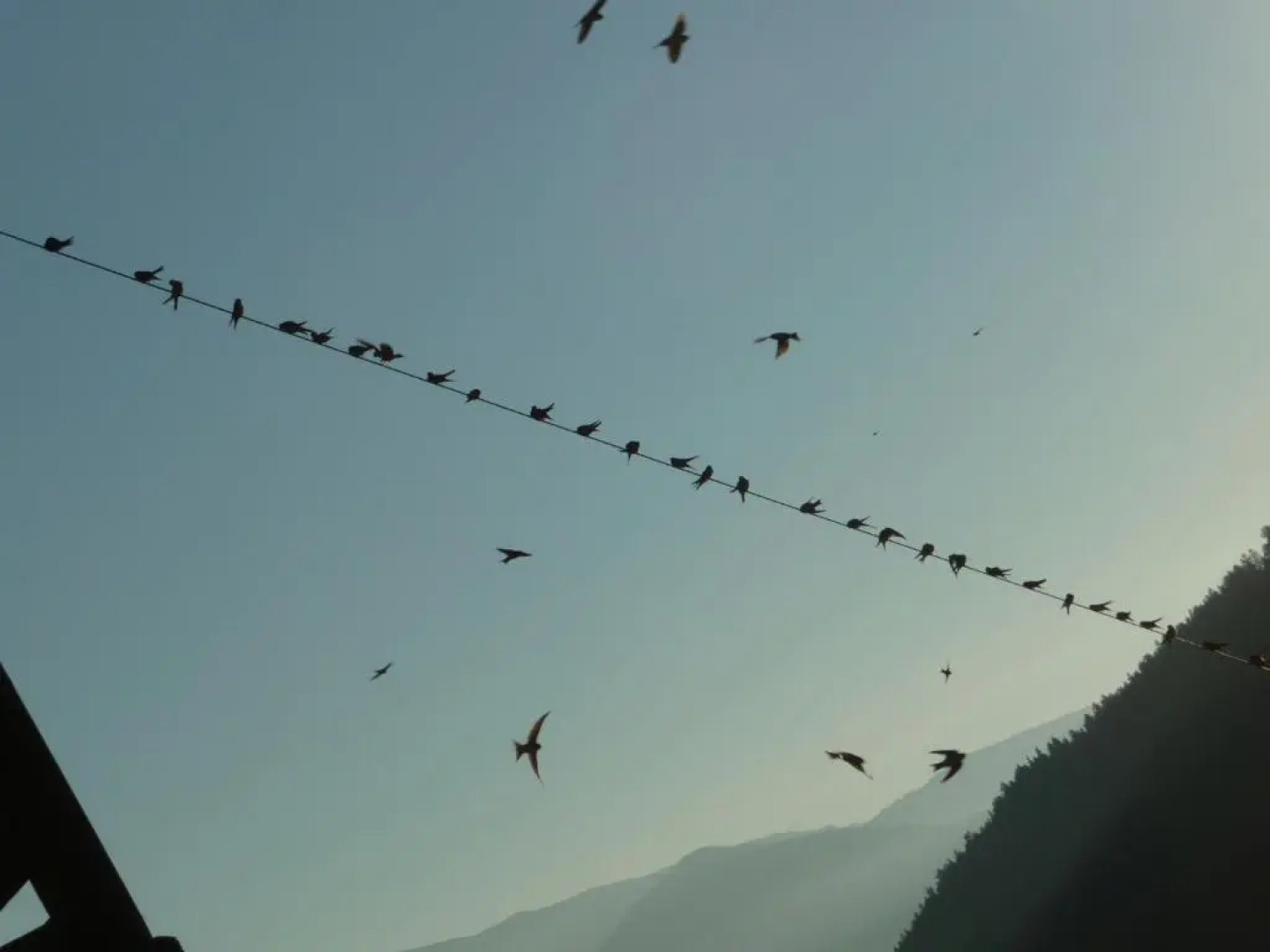 Berggasthaus Agritur Moserhof