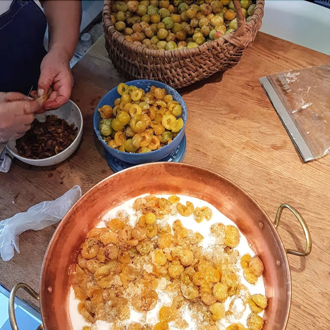 Chambres d'hôtes du Château de Mauvilly