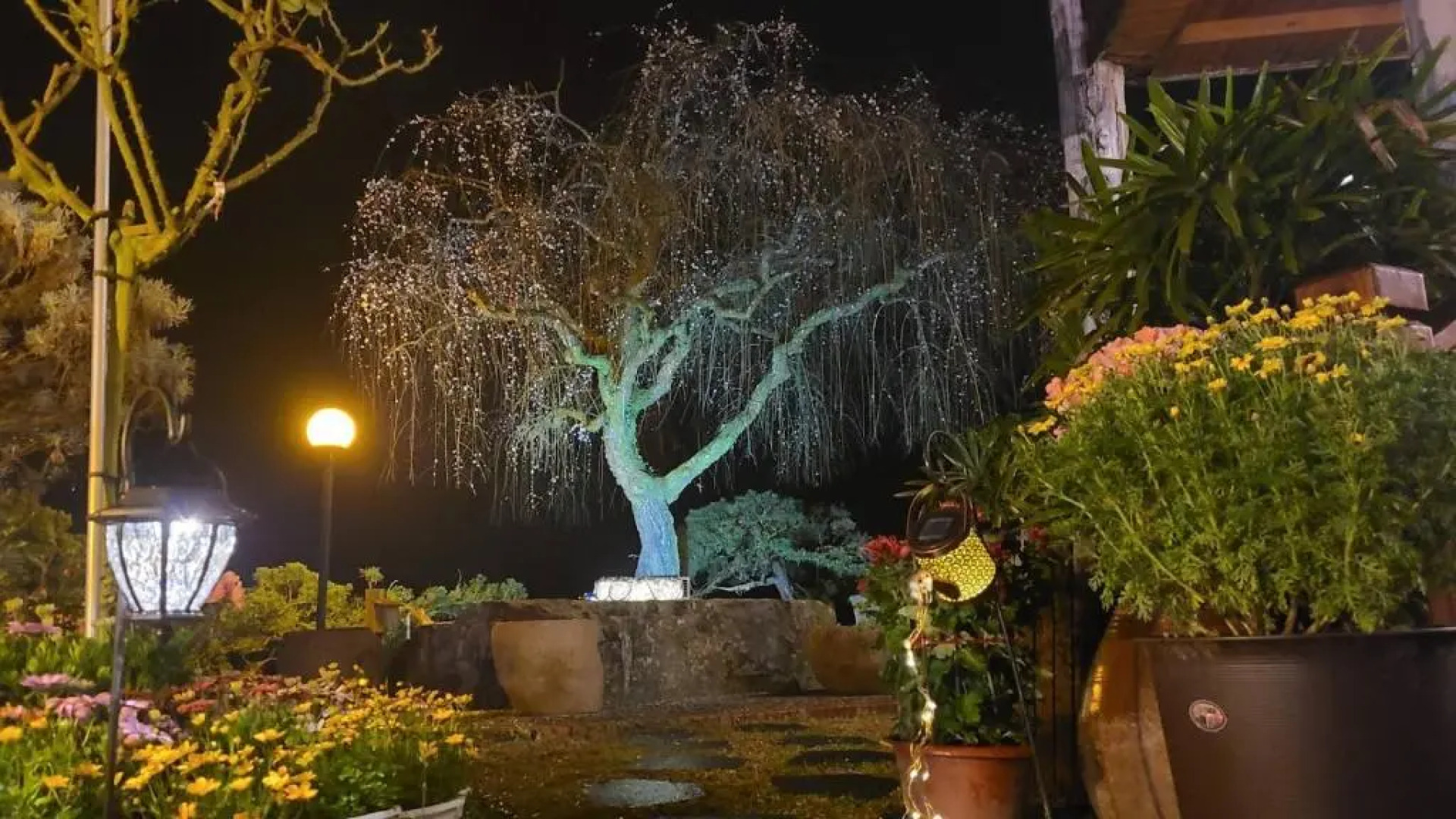 Rong Yuan Gu Homestay