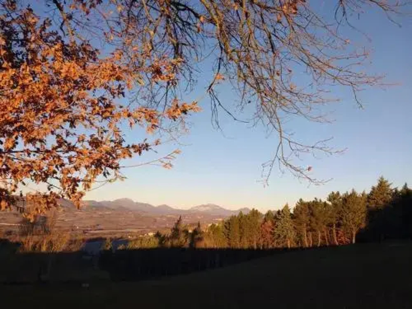 Anthoria B&B-Monolocale