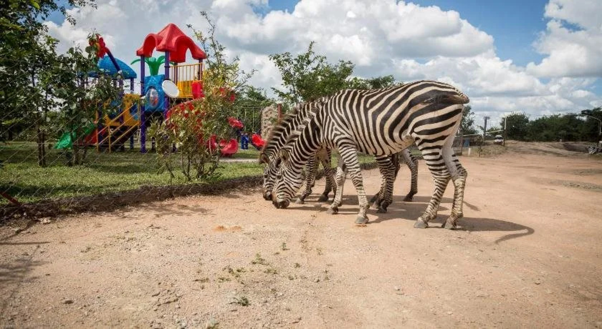 Mokorro Game Ranch and Lodge