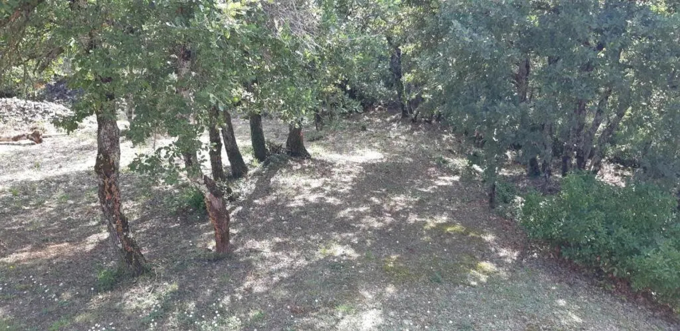 T2 Au coeur des chênes 1831 route de Mazaugues