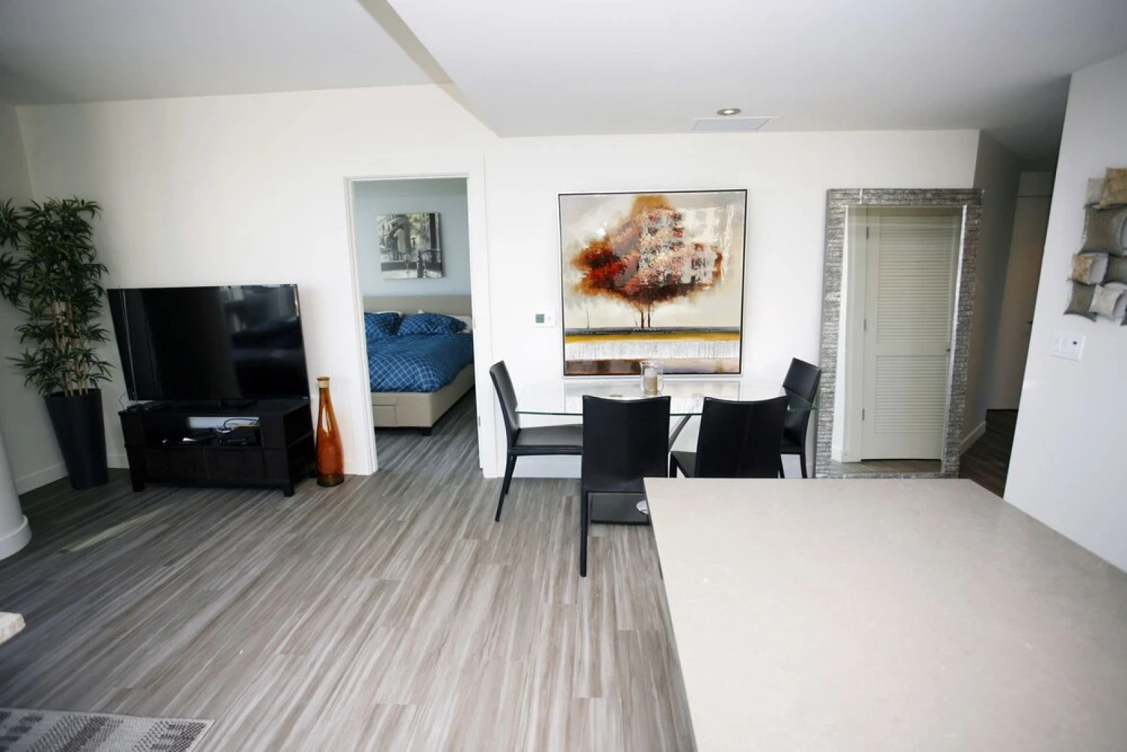 Apartments in the Loop