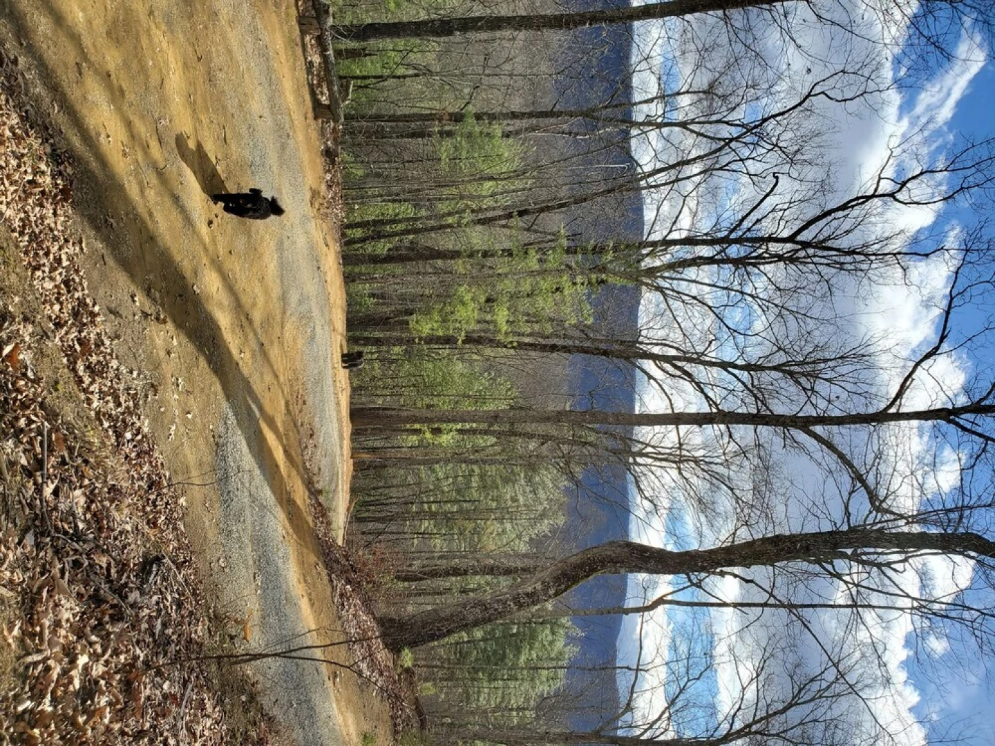 Smoky Mountain Lake View Cabin Bristol Tn