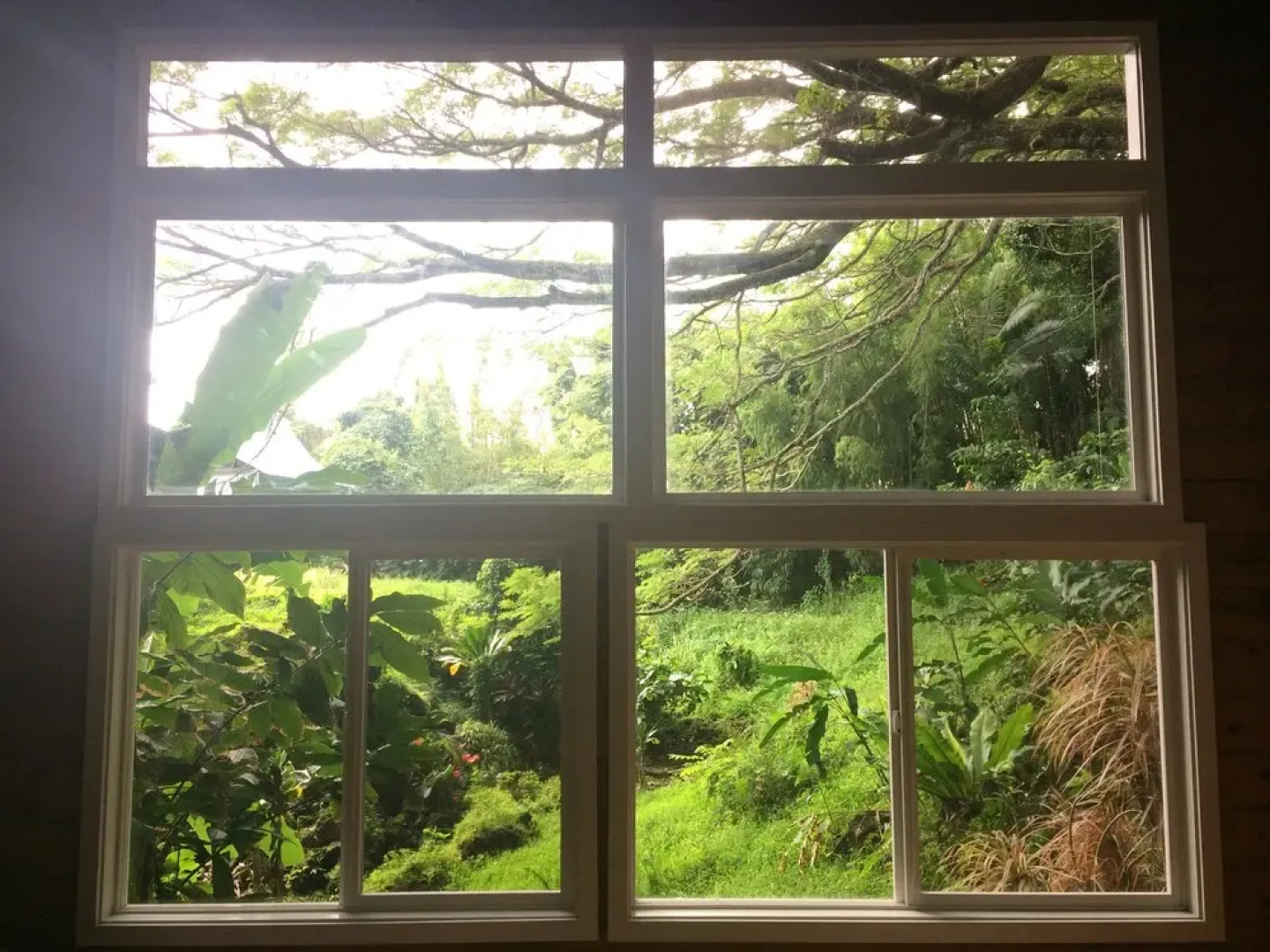 SweetSpotStay-Enchanted Grotto