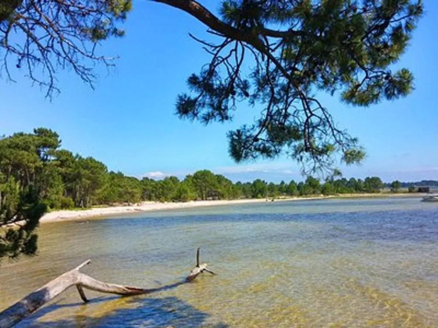 Maison Sanguinet, 3 pièces, 4 personnes - FR-1-319-408