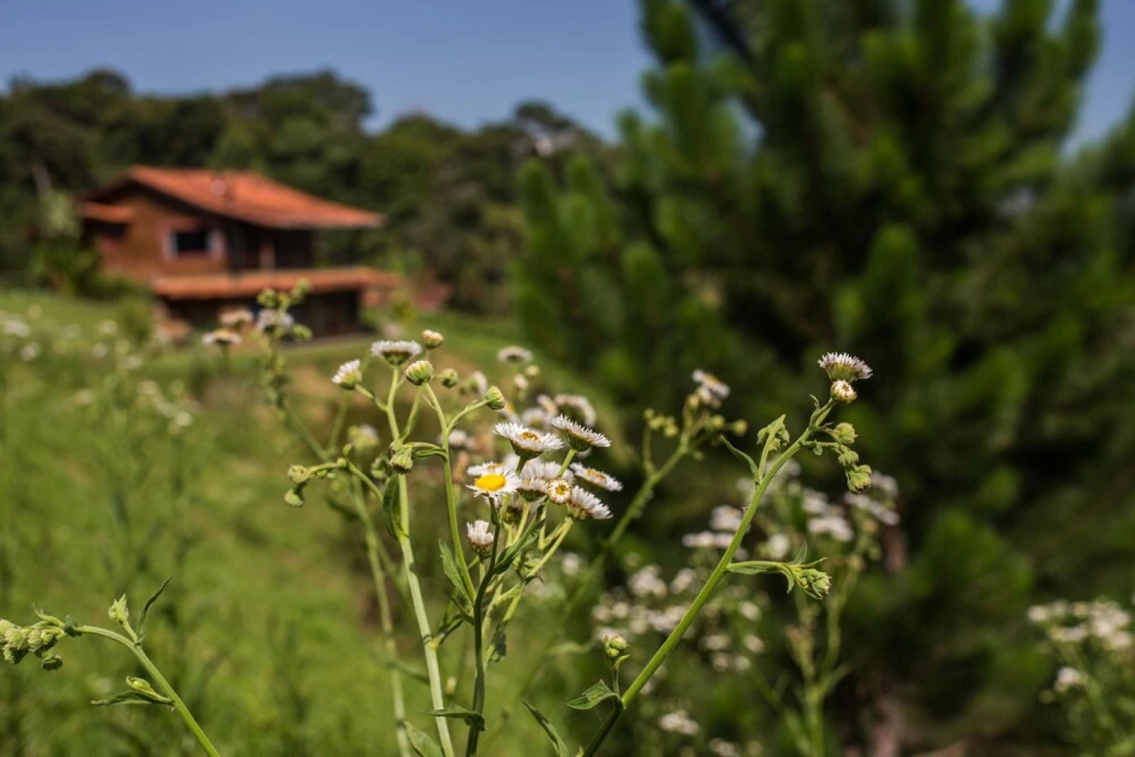 Chalés Existe um Lugar