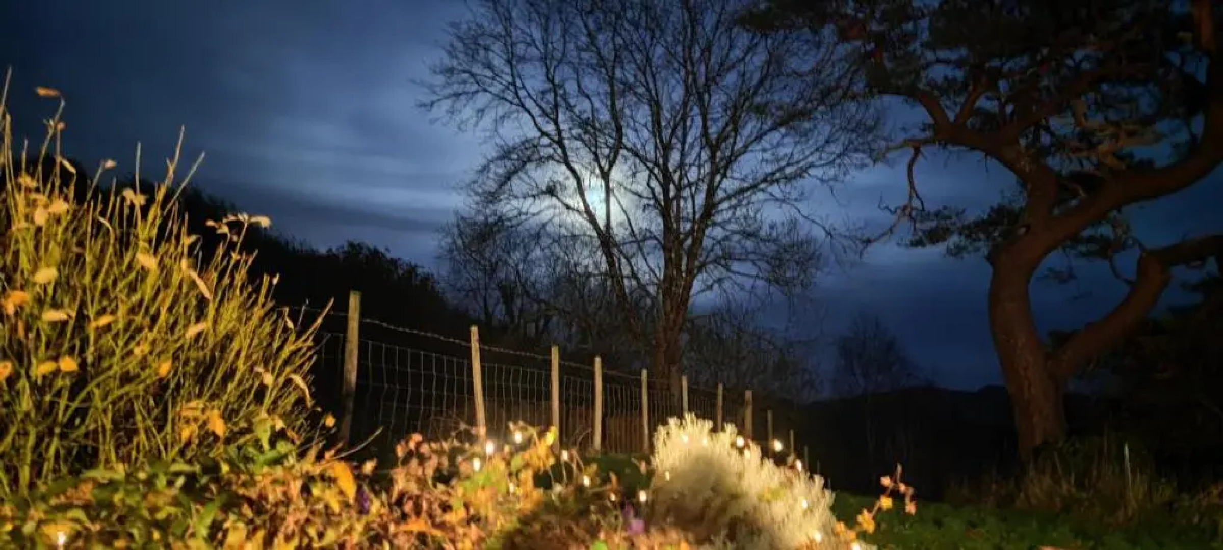 “CaderView Cottage” A Secluded Relaxing Getaway