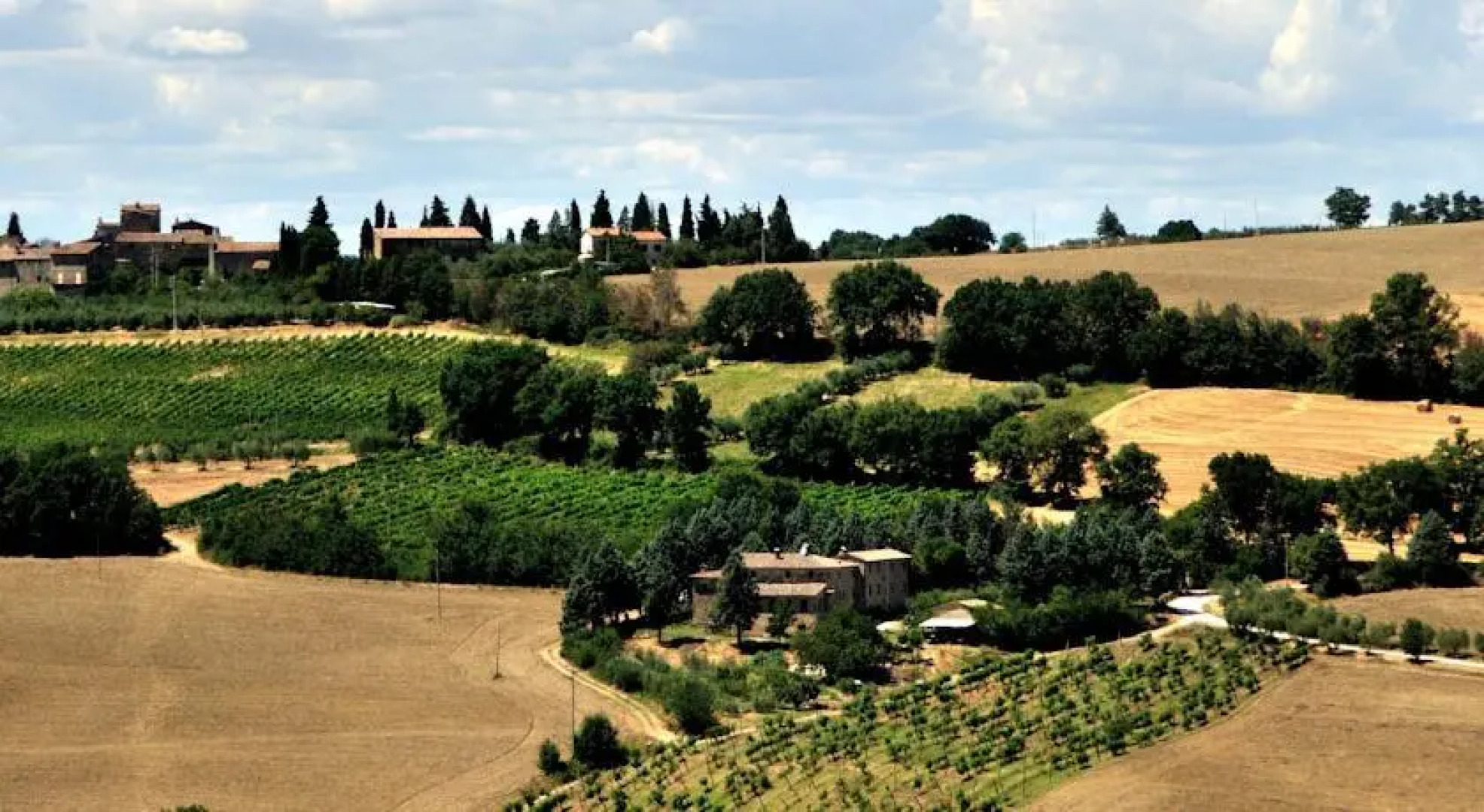 Tenuta Cavalieri di Scanzano