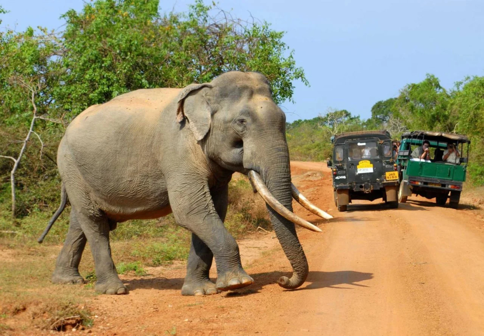 Jayasinghe Holiday Resort