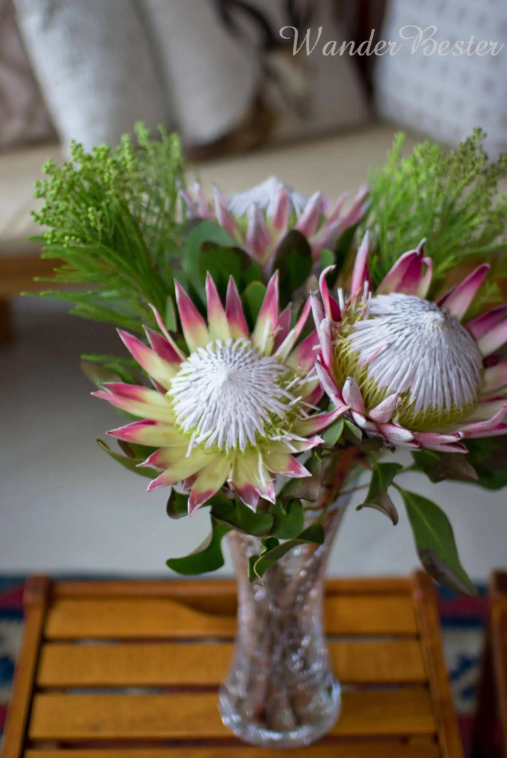 Schoone Oordt Country House