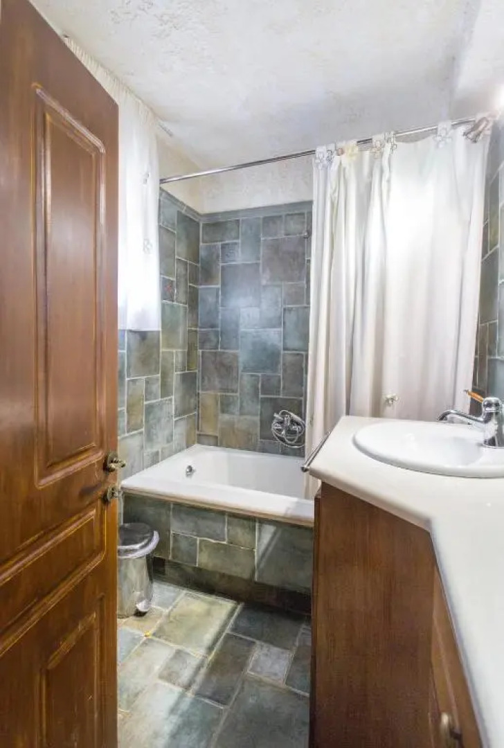 Turdus Merula Retreat