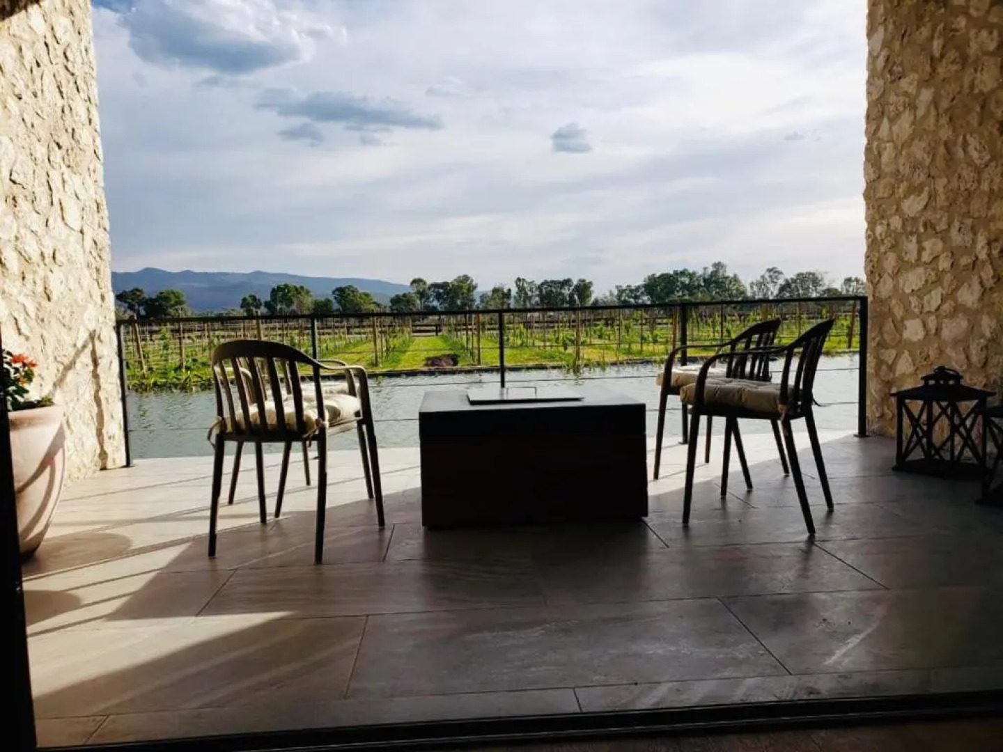 Viñedos San Francisco