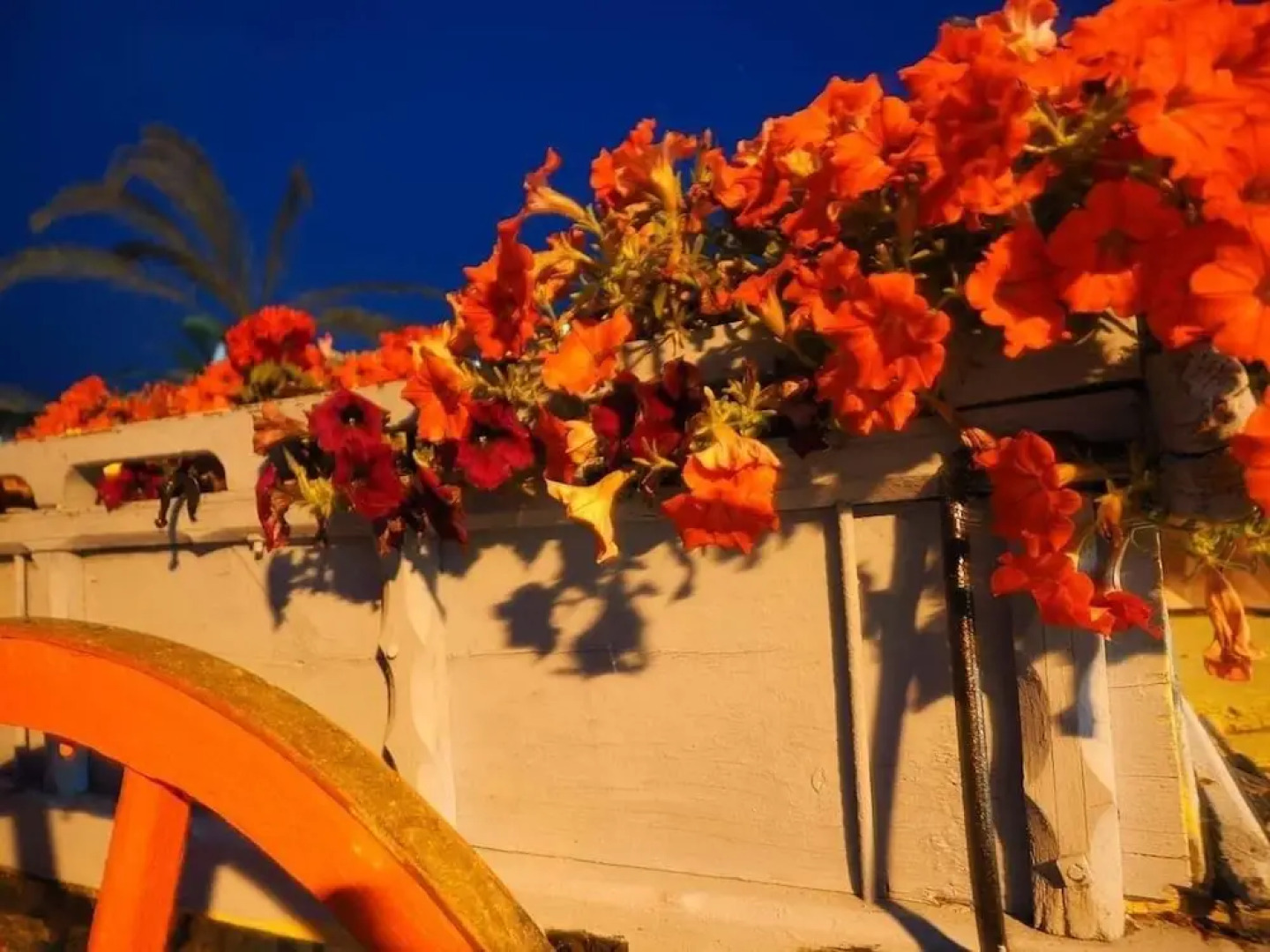 Alkionides Apartments