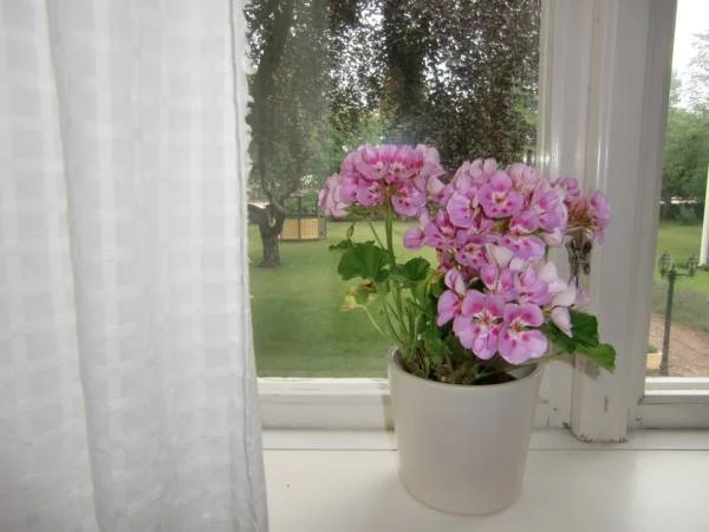 Hagaborg Bed & Breakfast