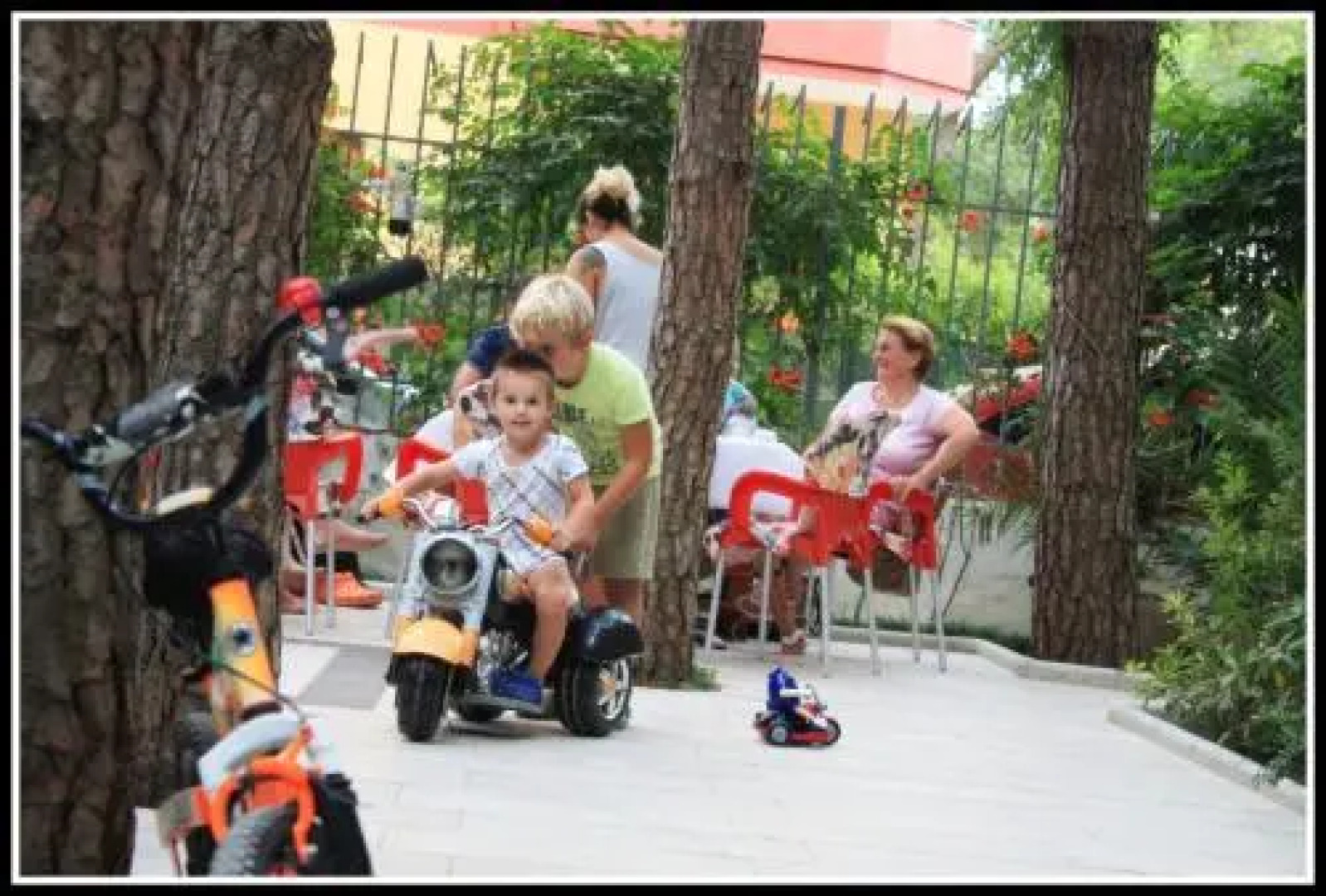 Hotel Princi i Vogel