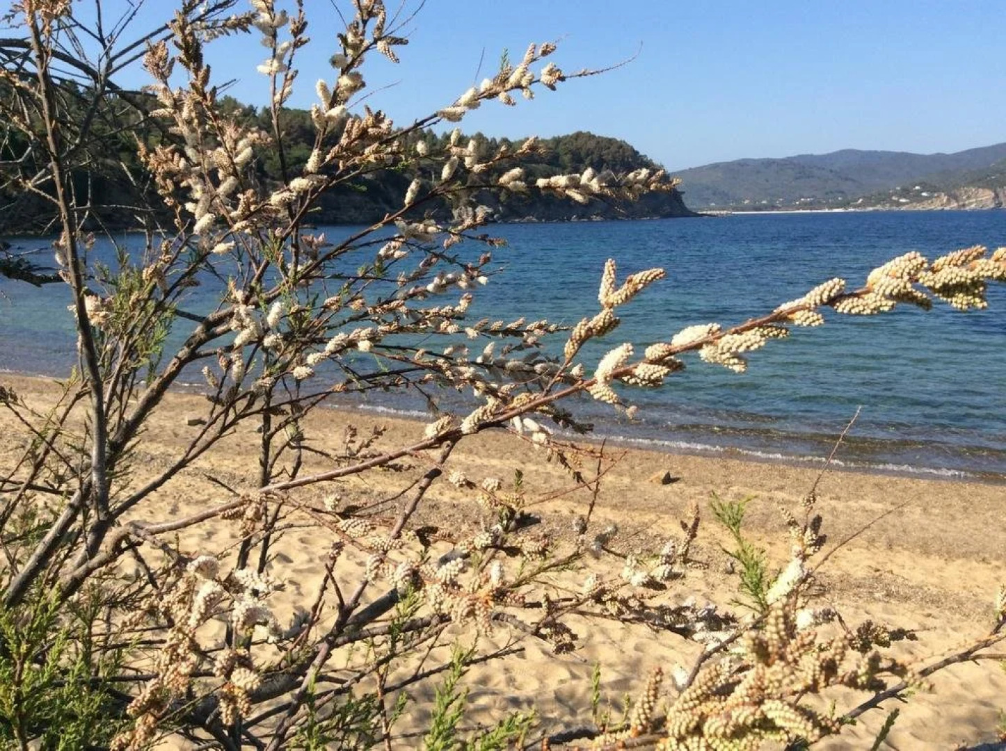 Agriturismo Galenzana