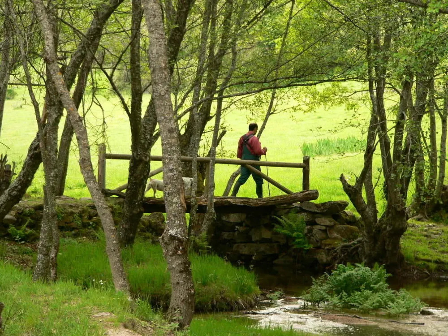 El Taller De La Seda