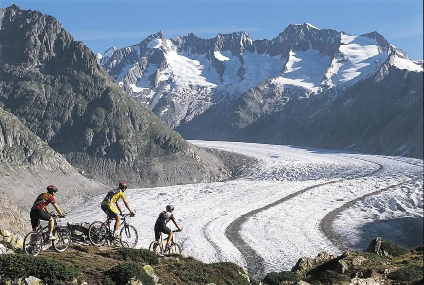 Serviced Apartments Wallis