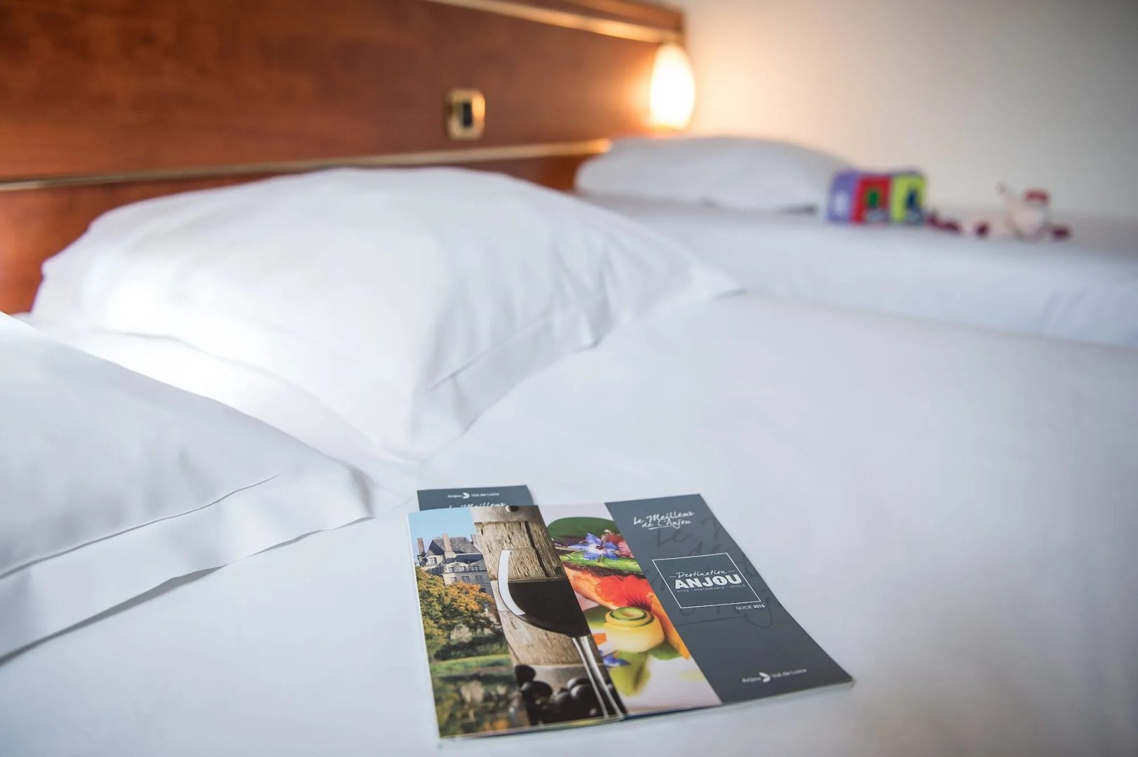 Brit Hotel Angers Parc Expo - L'Acropole