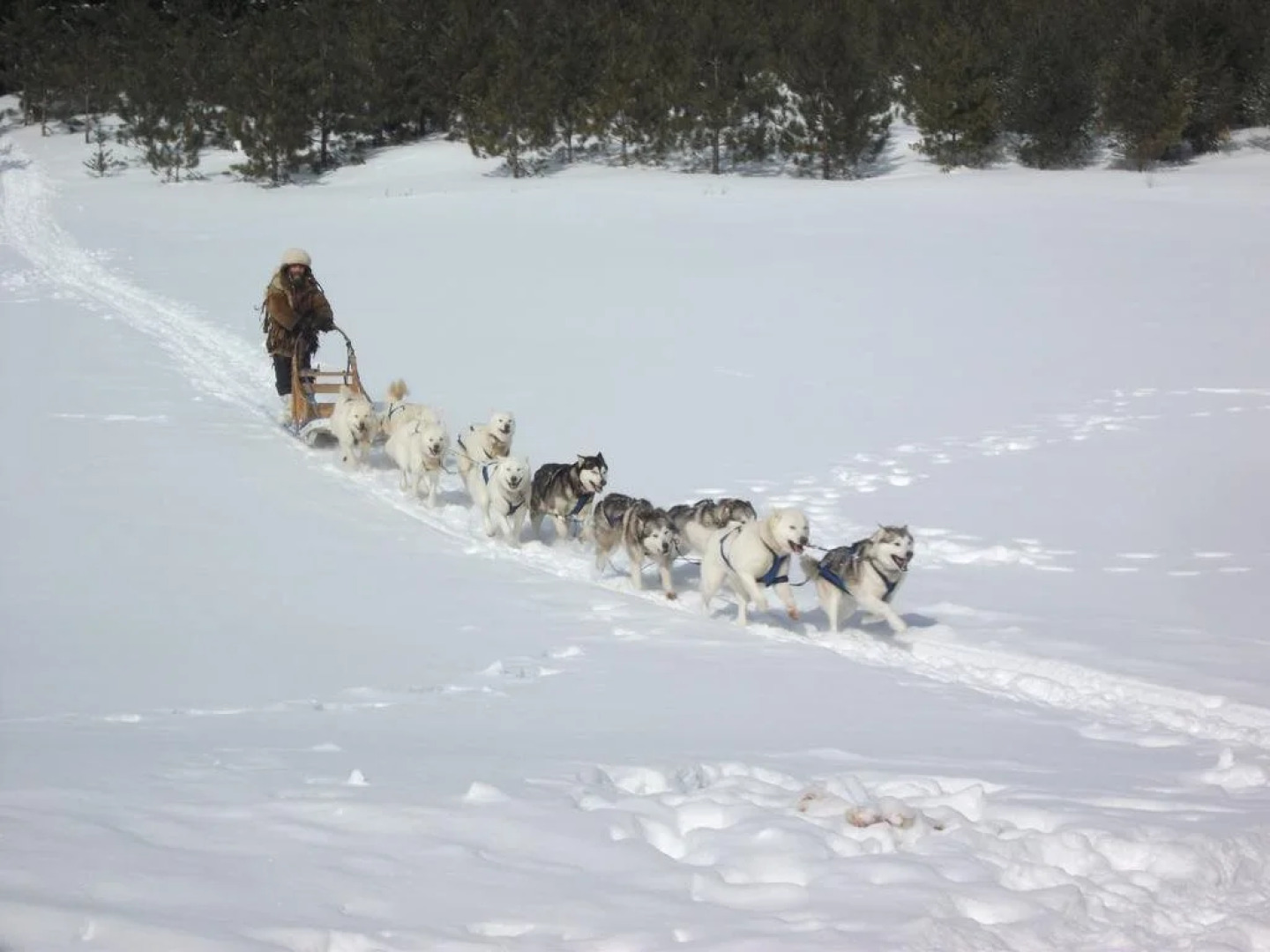 Gîte L'S-En-Ciel B&B