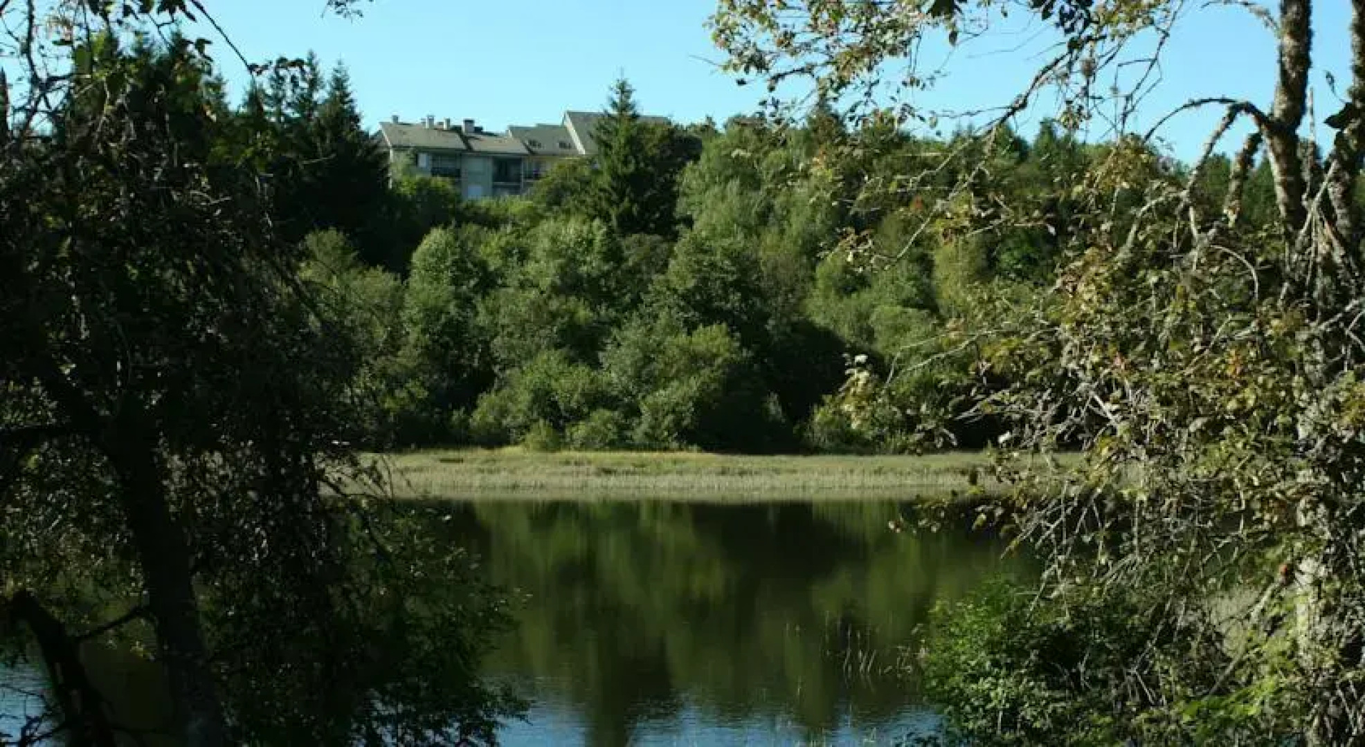 Studio "Terre dAubrac"