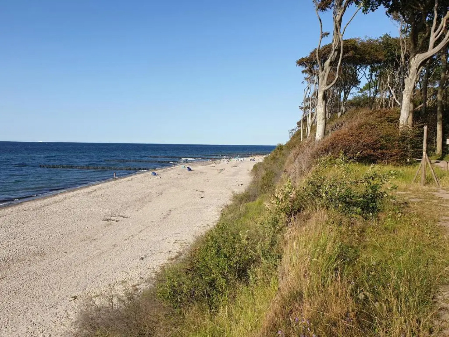 Haus Passat - Ferienwohnungen