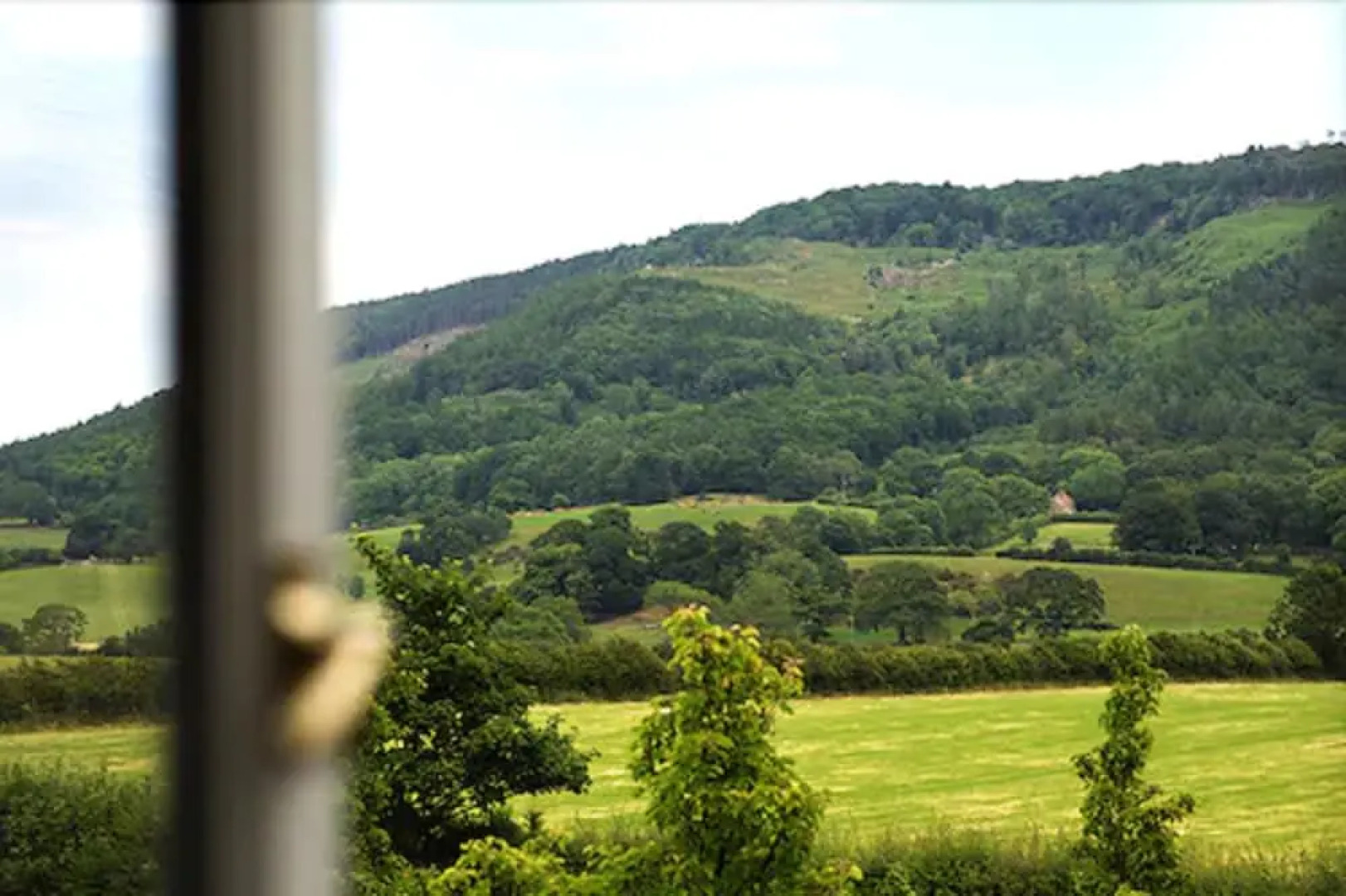 The Cleveland Tontine