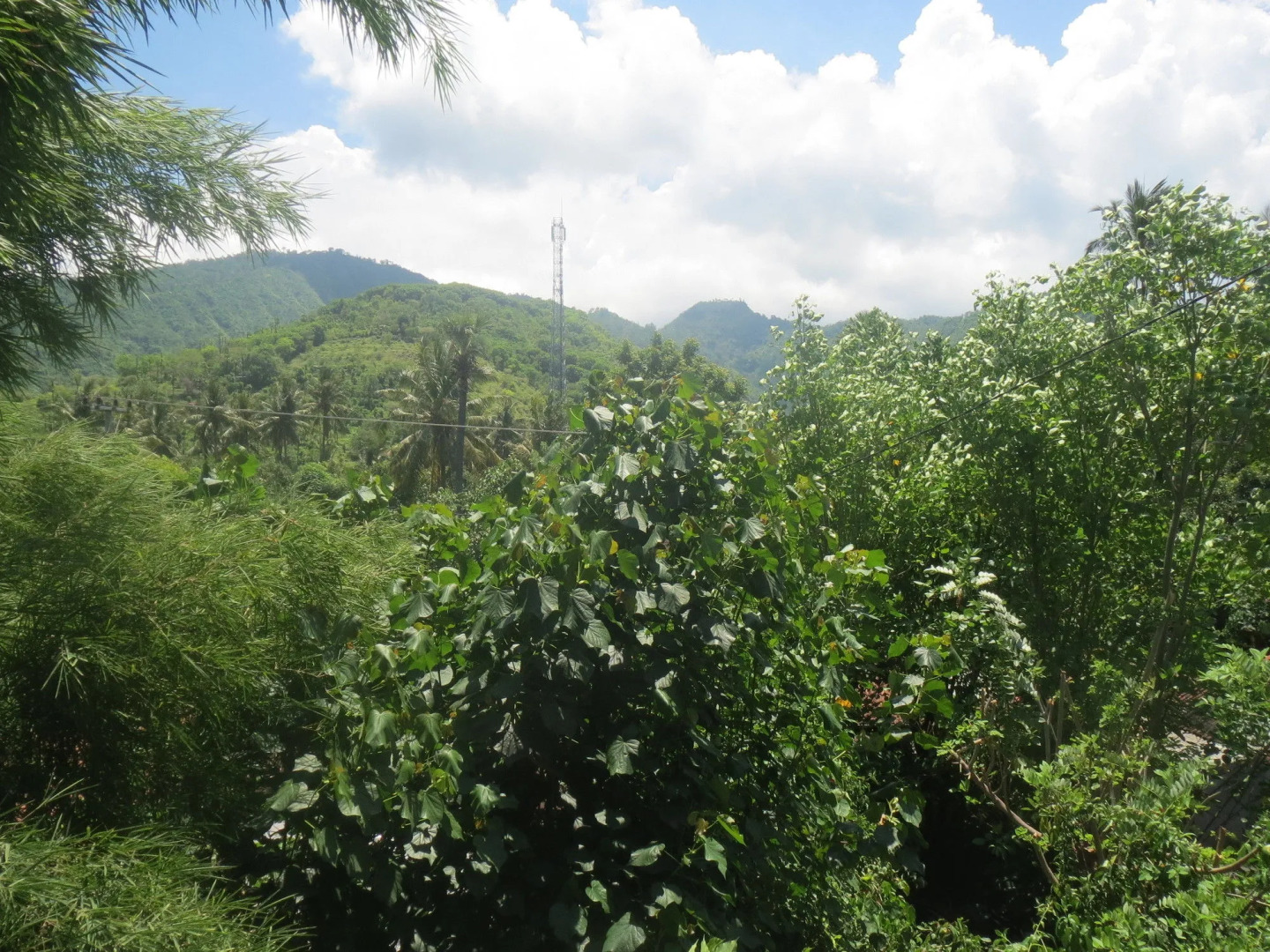 Amed Sari Beach Guesthouse