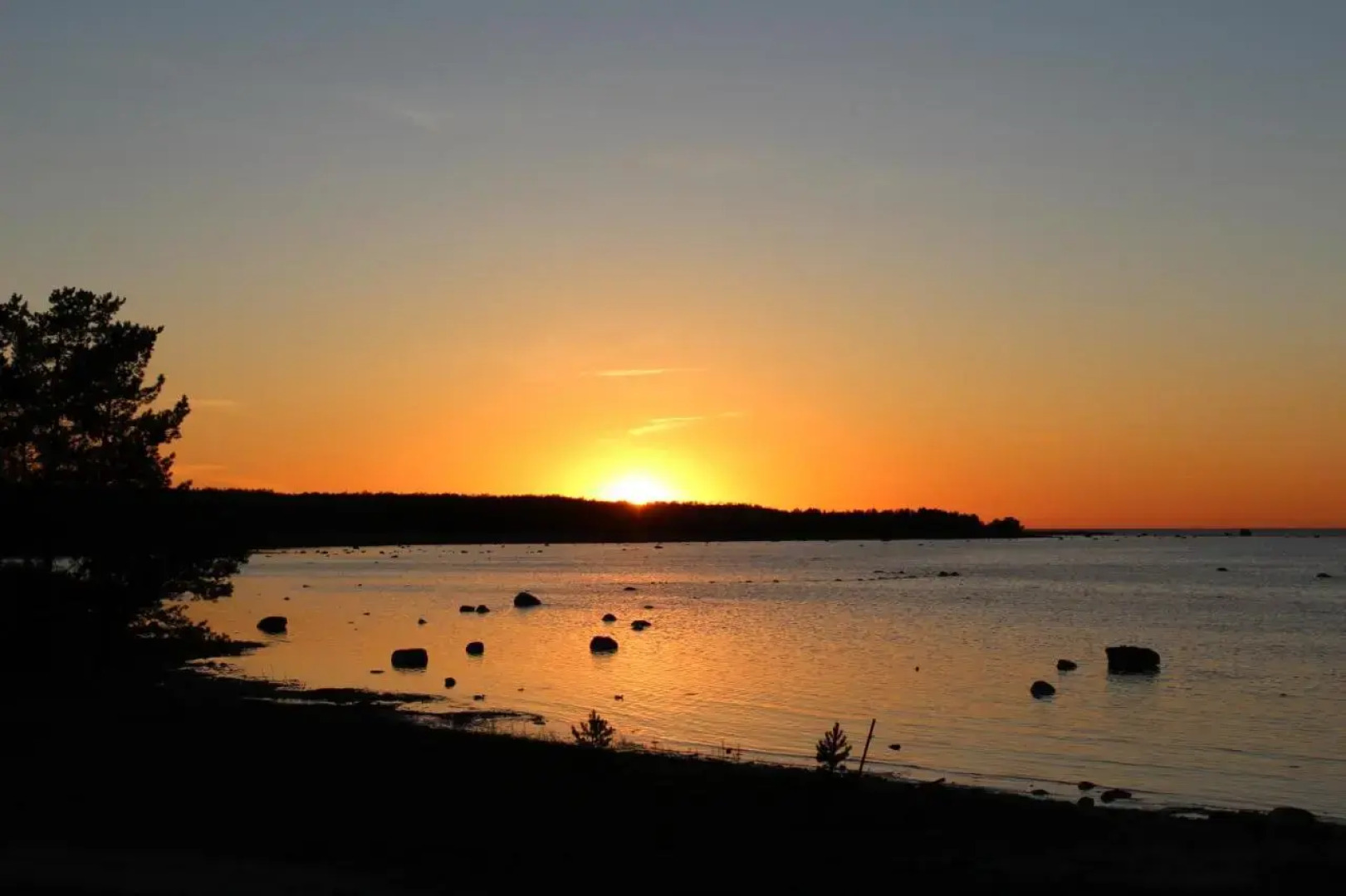 Metskonna Forest House