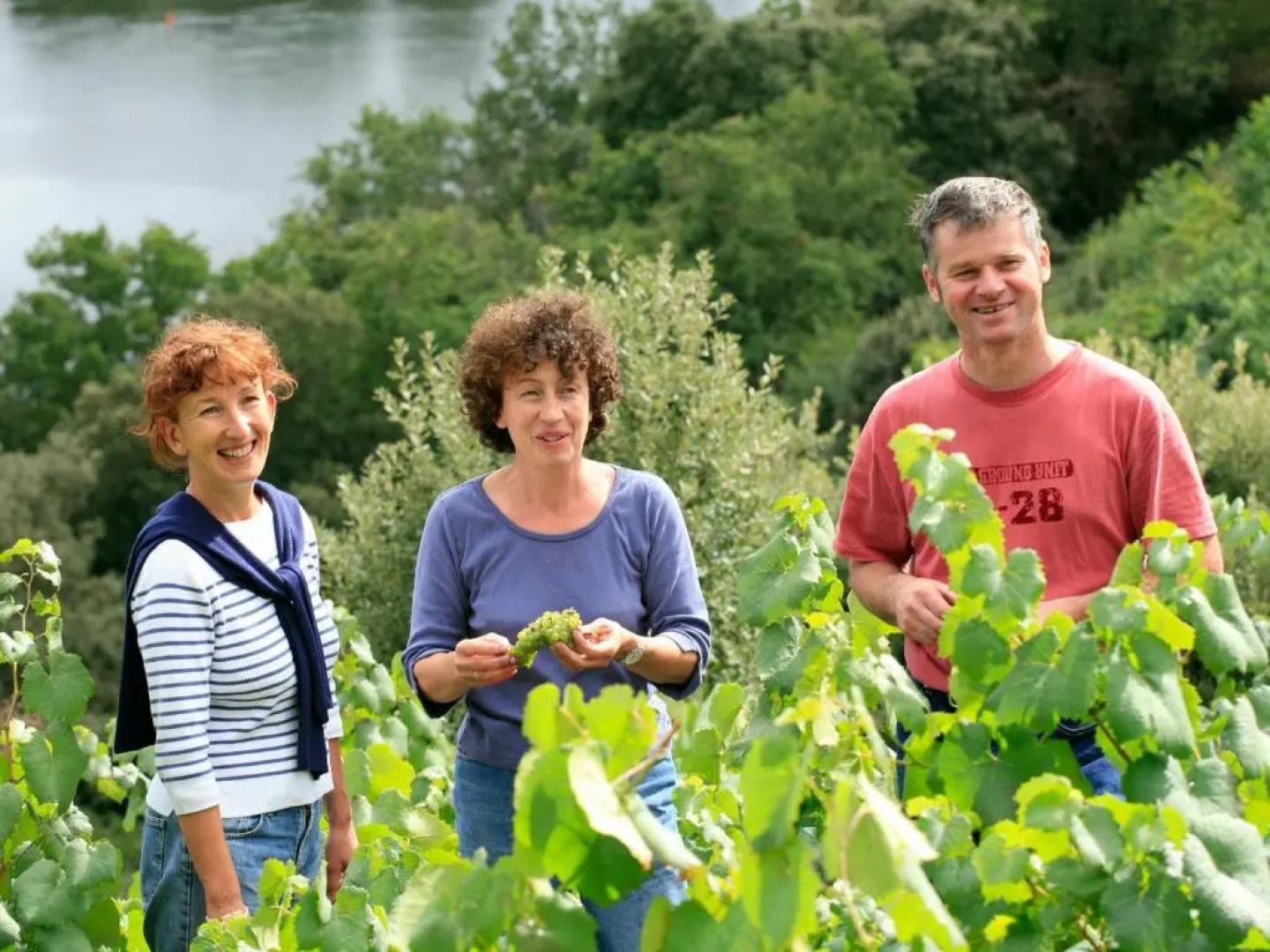 Gîte Le Cellier, 3 pièces, 6 personnes - FR-1-306-891