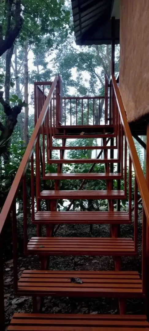 Thennal Jungle Camp Pvt Ltd