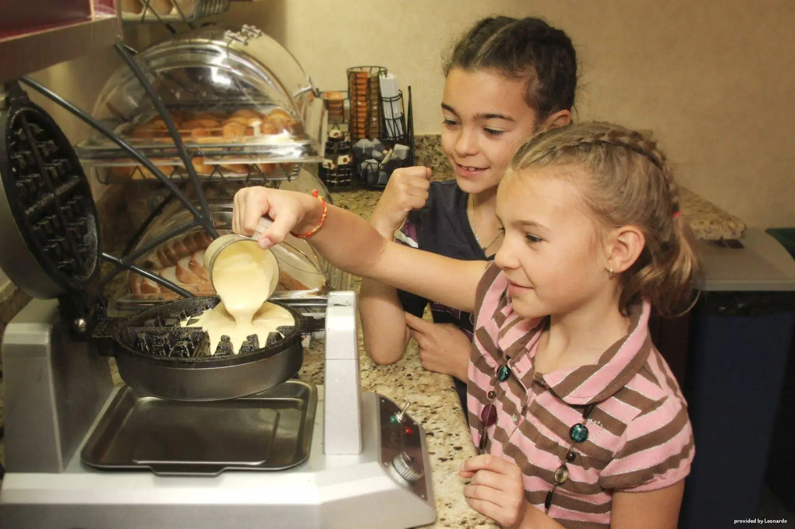 Best Western Swan Castle Inn