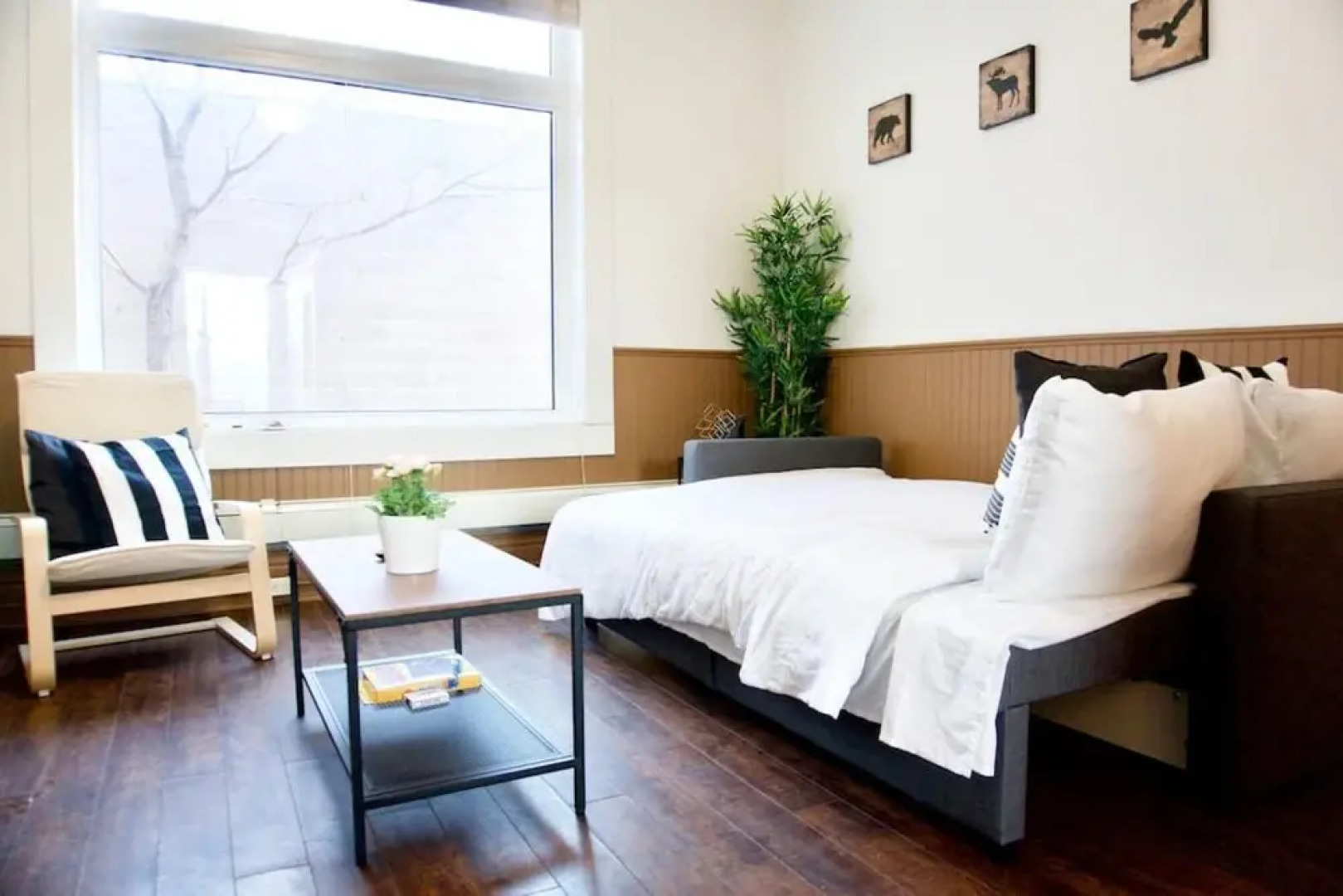 Stunning Large Gorgeous Space DT Parking Coffee