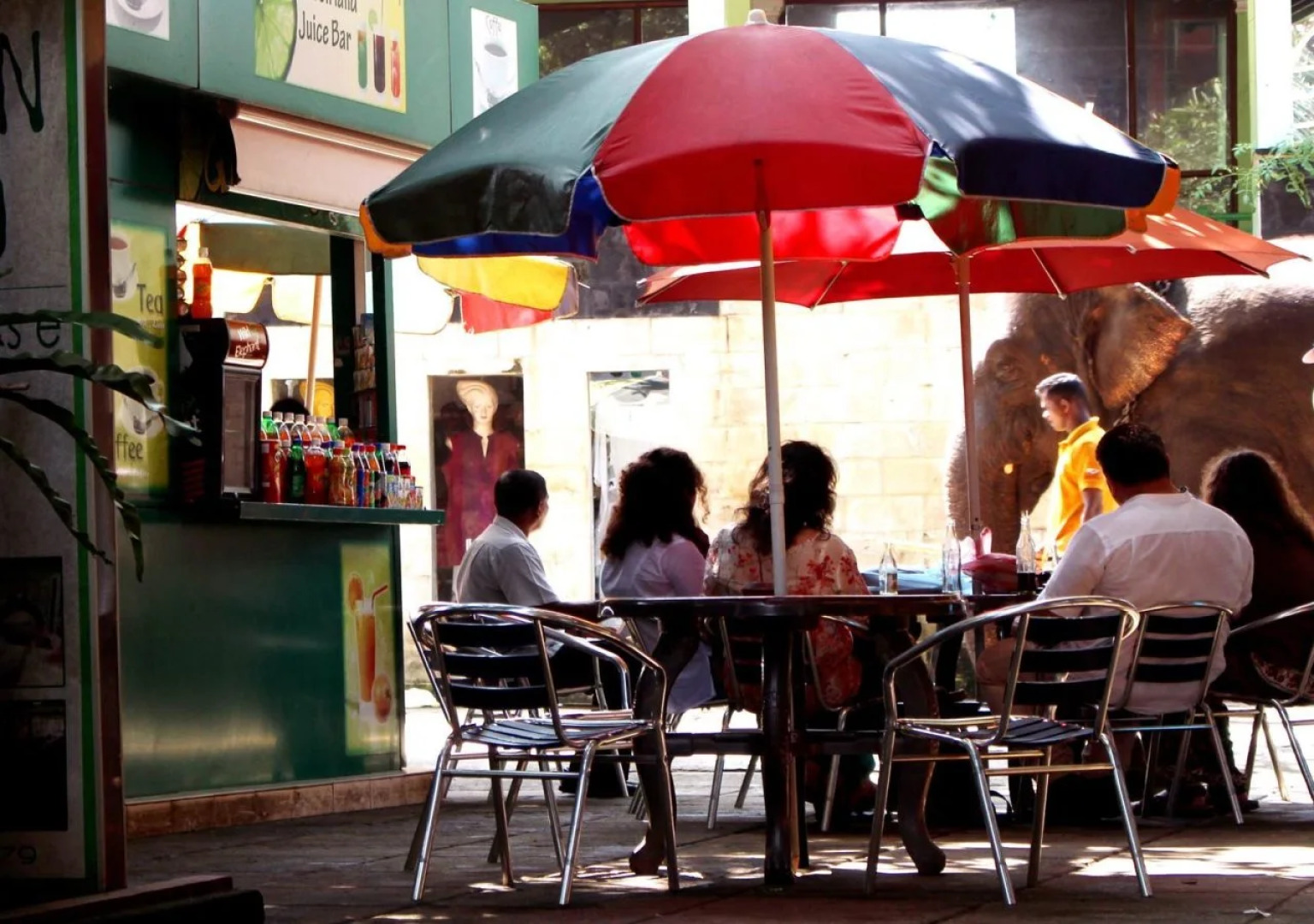 Green Land Guest House