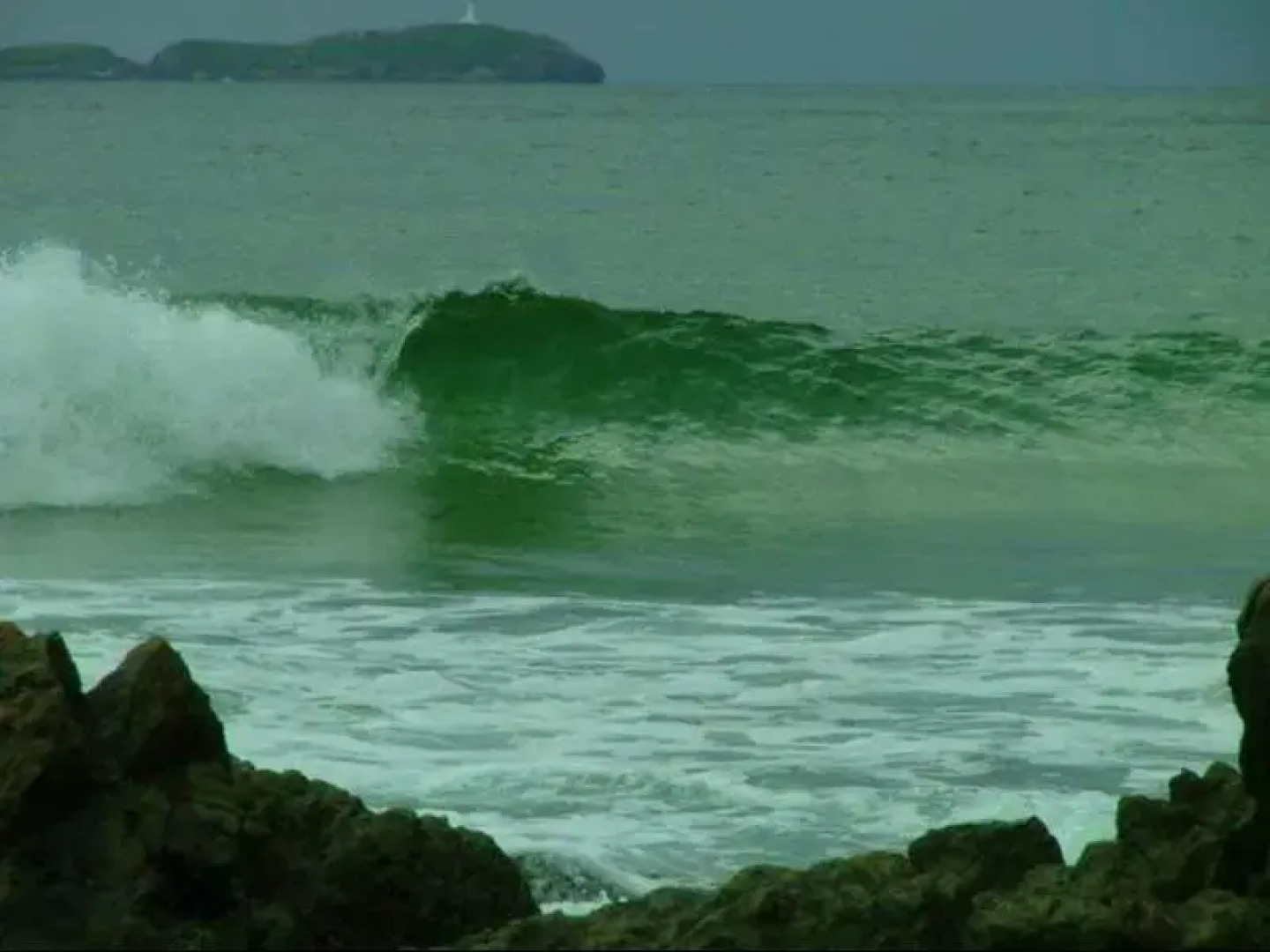 Emerald Tropical Palms B&B