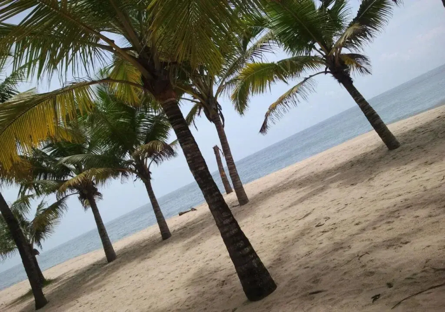 Marari Dreamz Bed and Breakfast