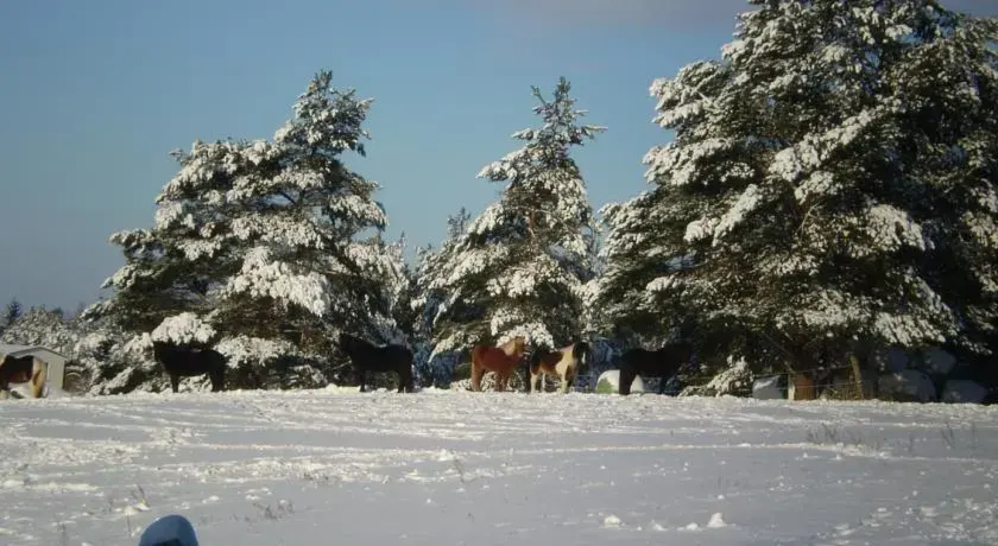Romantisches Holzhaus