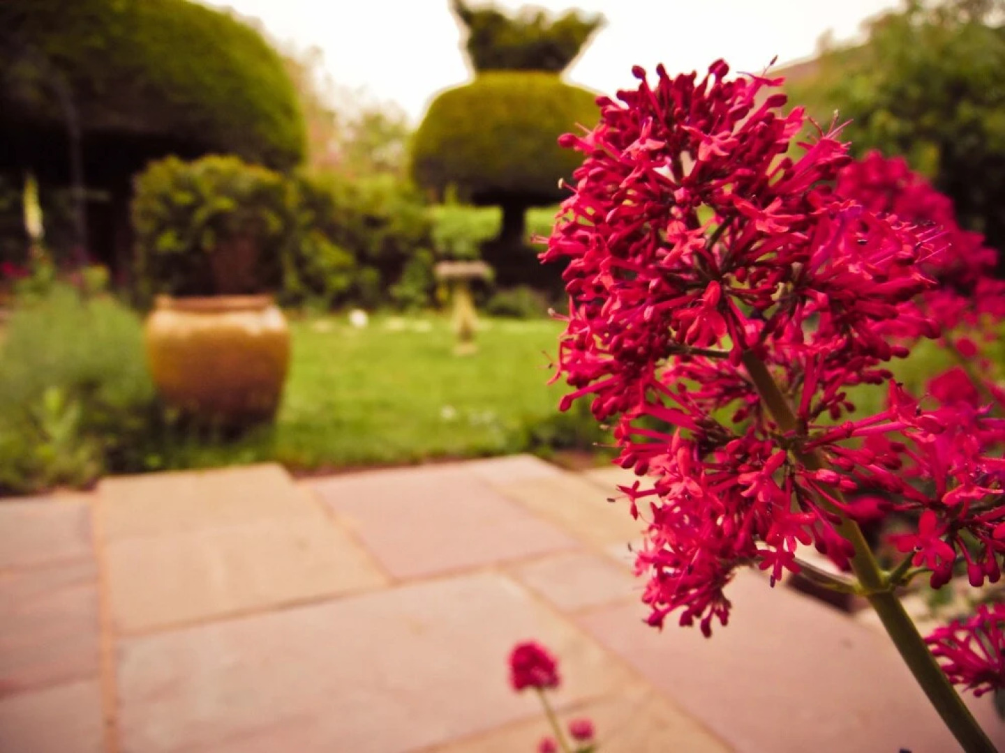 Yew Tree House B & B