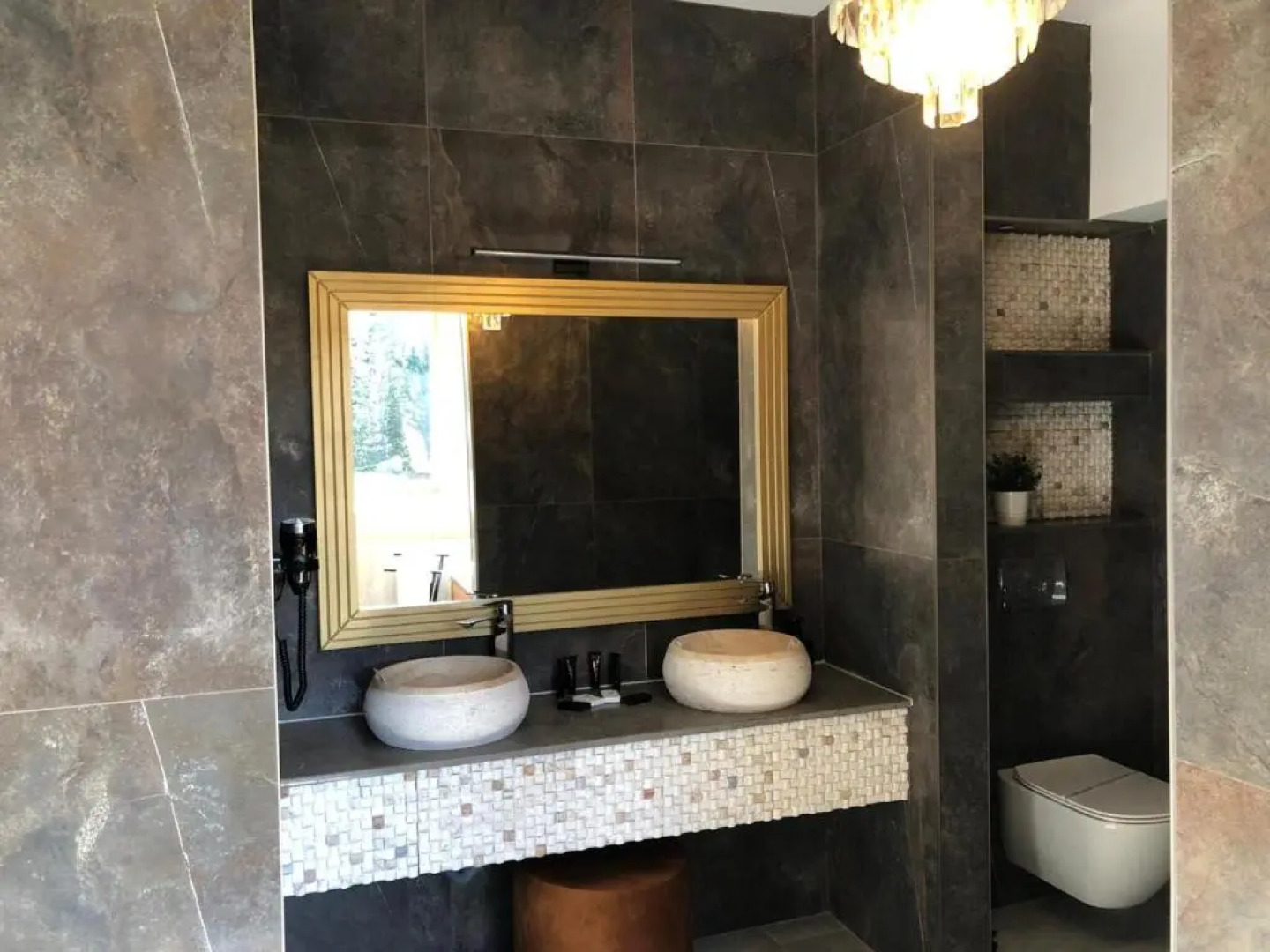 Elexus Poiana Brasov