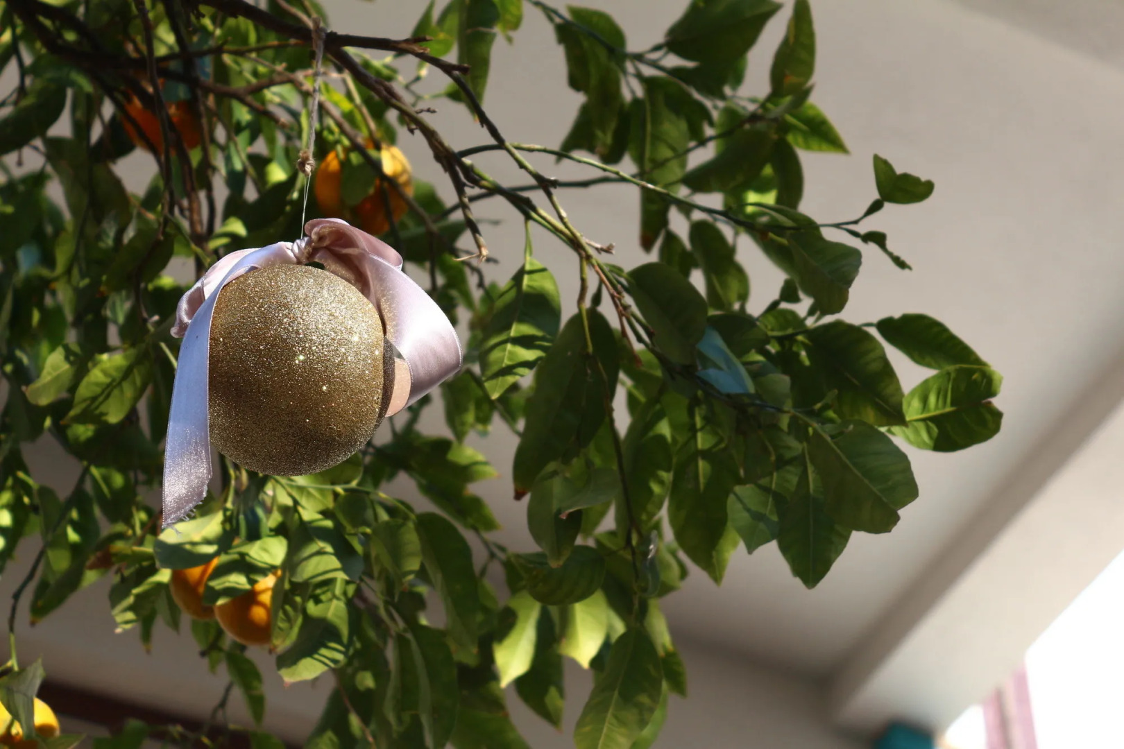 Delight Deluxe Aparts