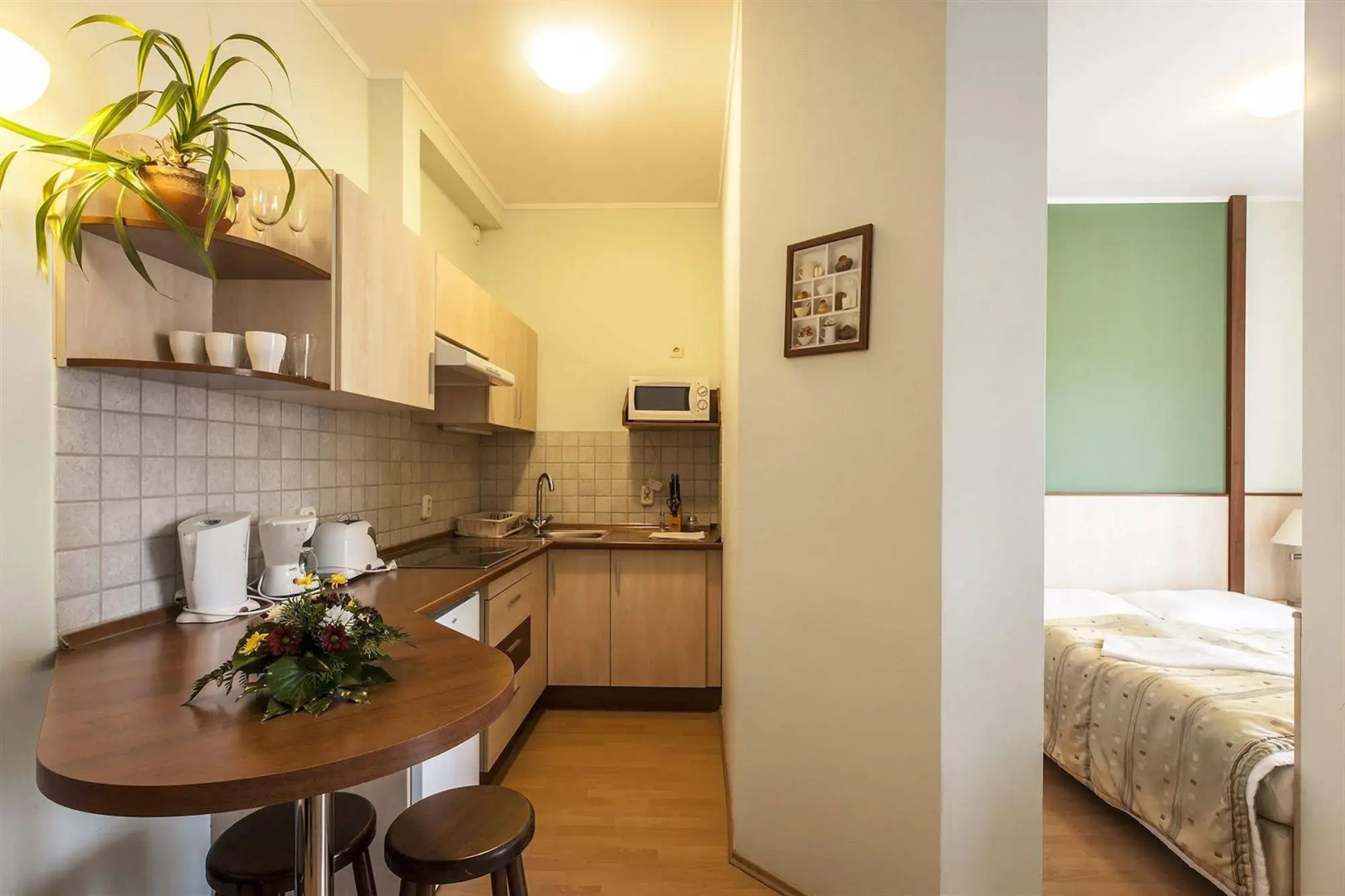 Premium Apartment House