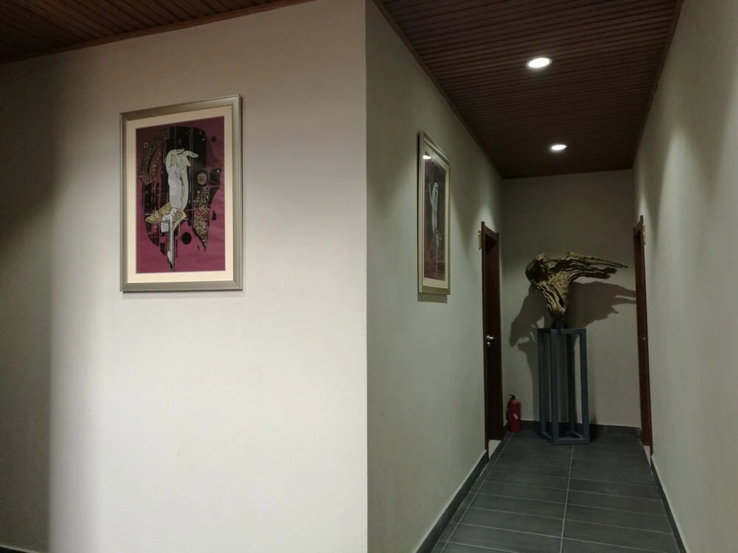 Plants and Flowers.YSTS