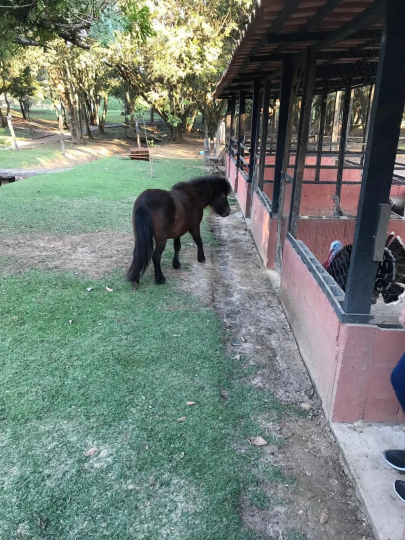 Polo Hotel Fazenda