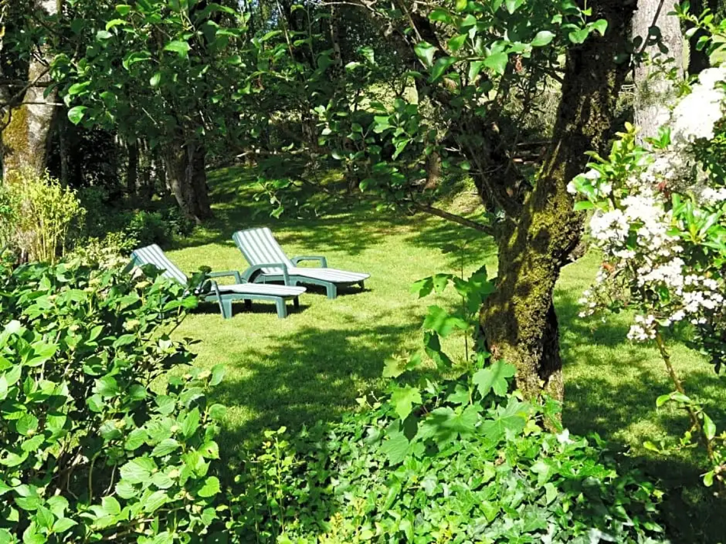 Chambre d'hôtes Puech Noly