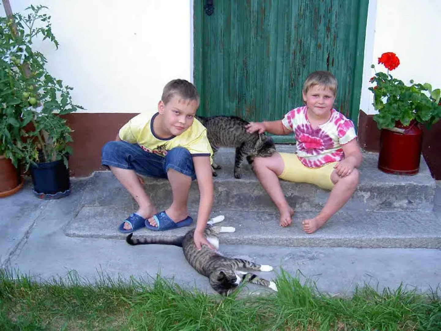 Urlaub am Bauernhof Wenigeder - Familie Klopf