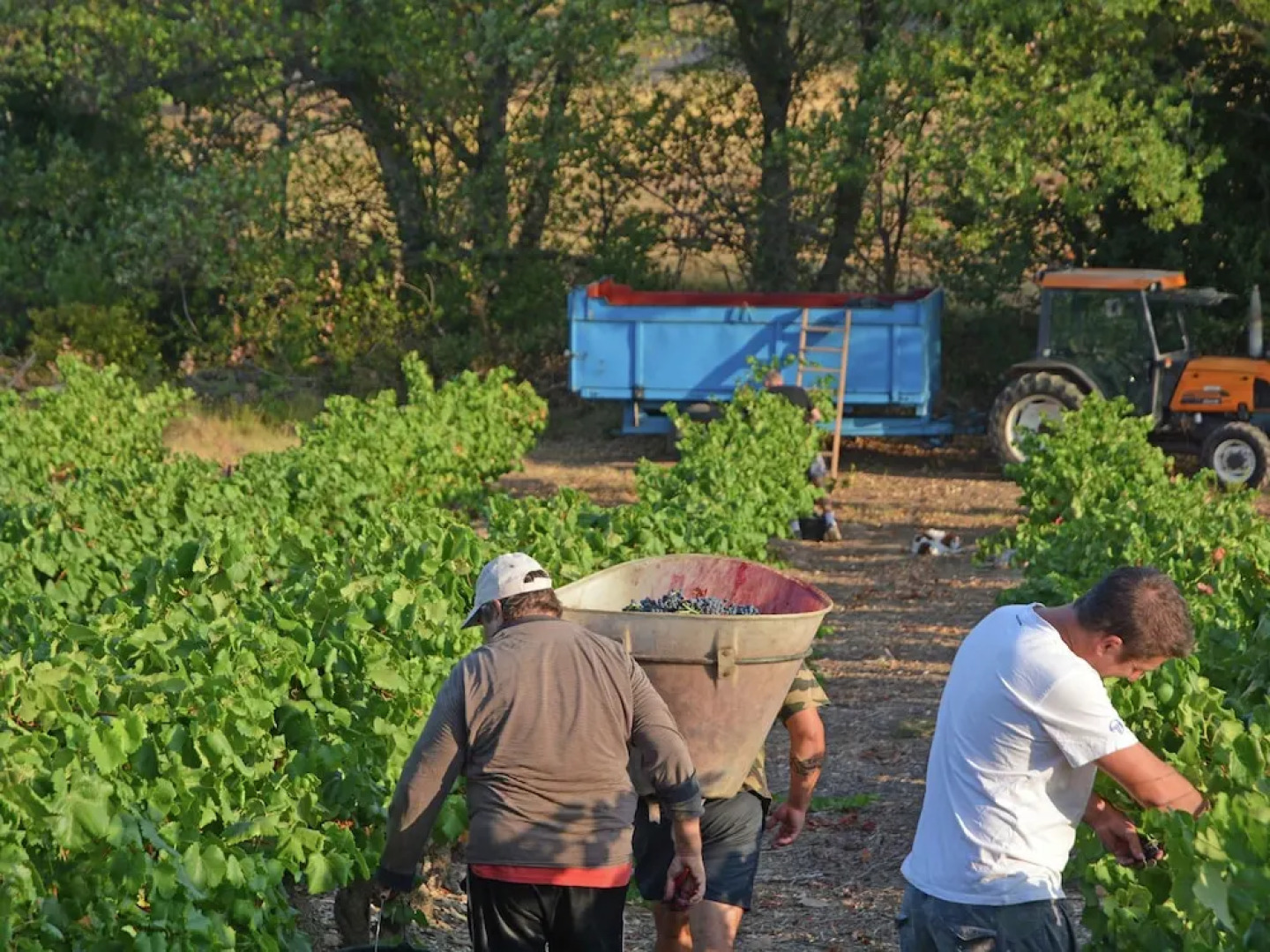 Secluded Villa in Félines With Private Pool, Nice Views & Close to Town Centre