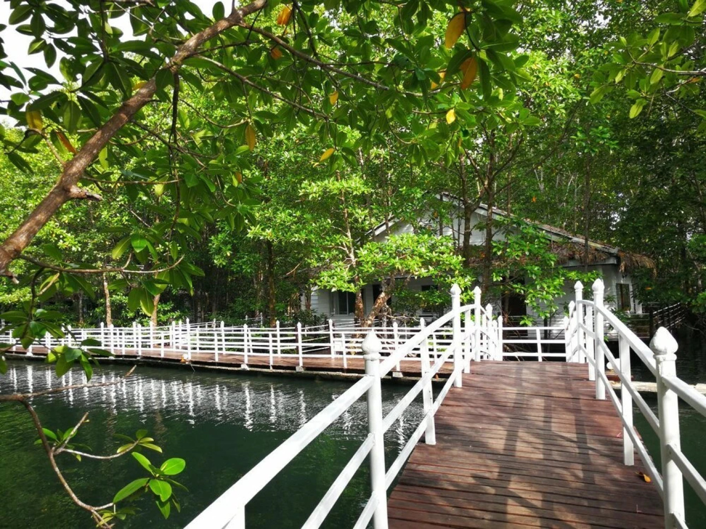 Mangrove Sanctuary Resort