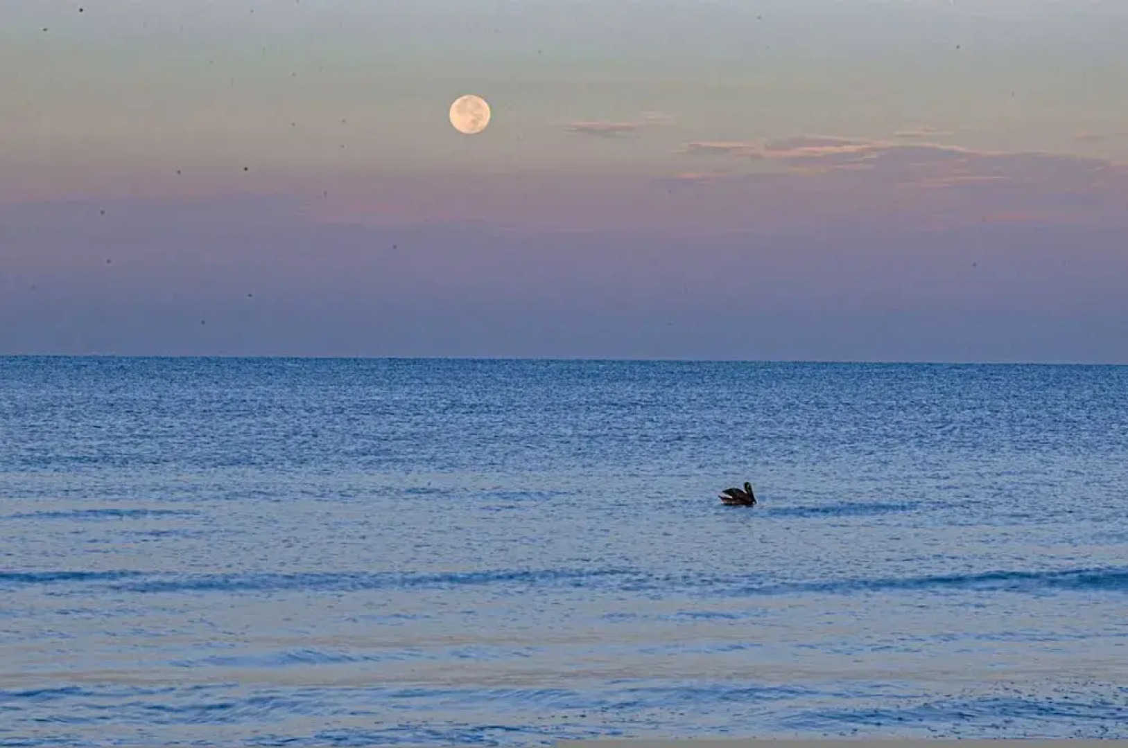 Tranquility - Waterfront Villa With Pool Dock